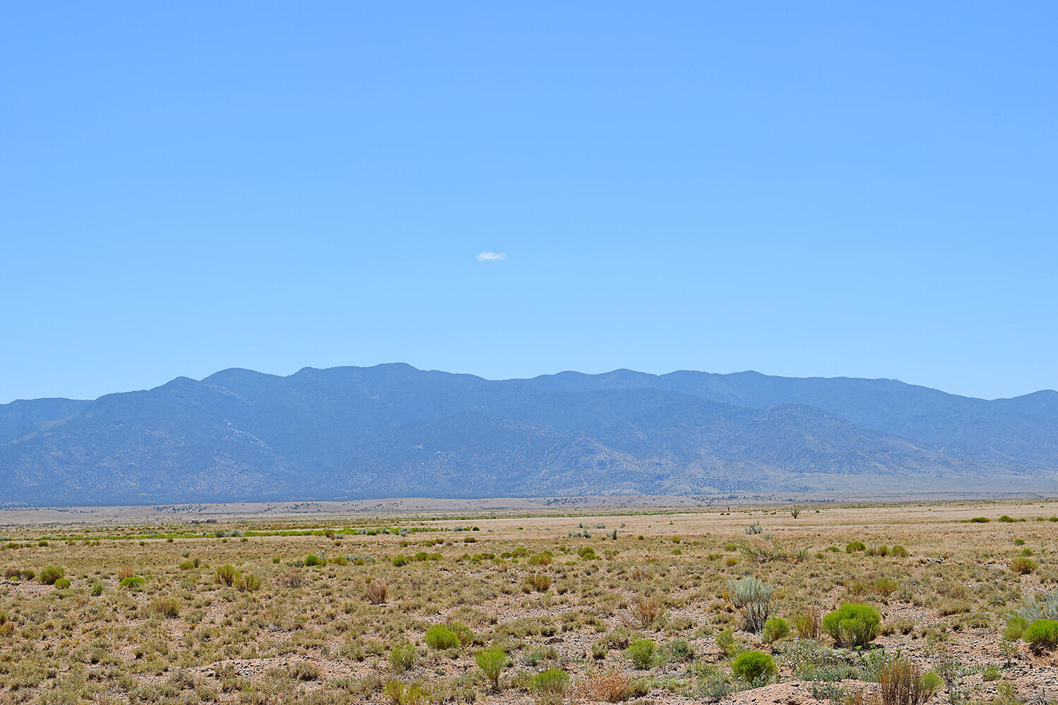 Lot 203 Rancho Rio Grande 16e