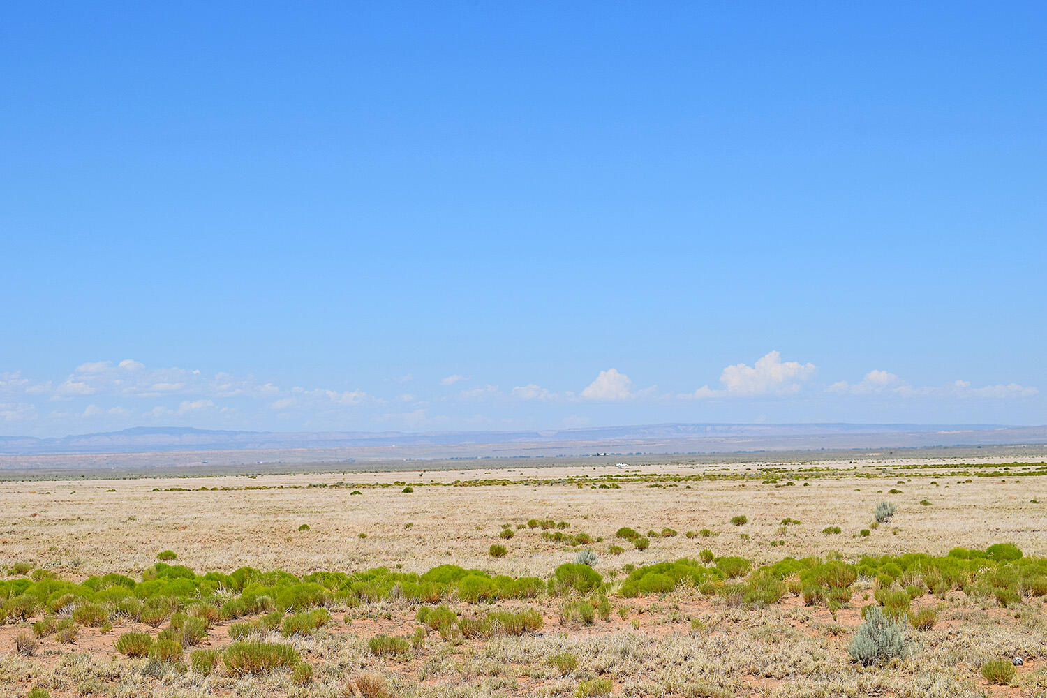 Lot 203 Rancho Rio Grande 16e