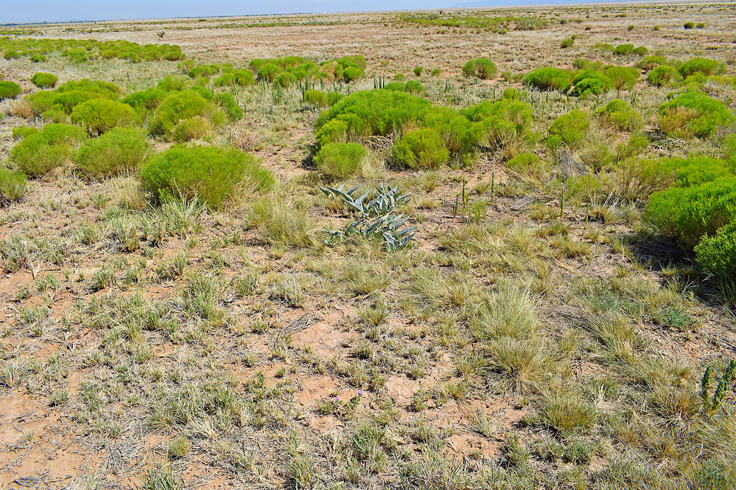 Lt 184-185 Rancho Rio Grande 16e
