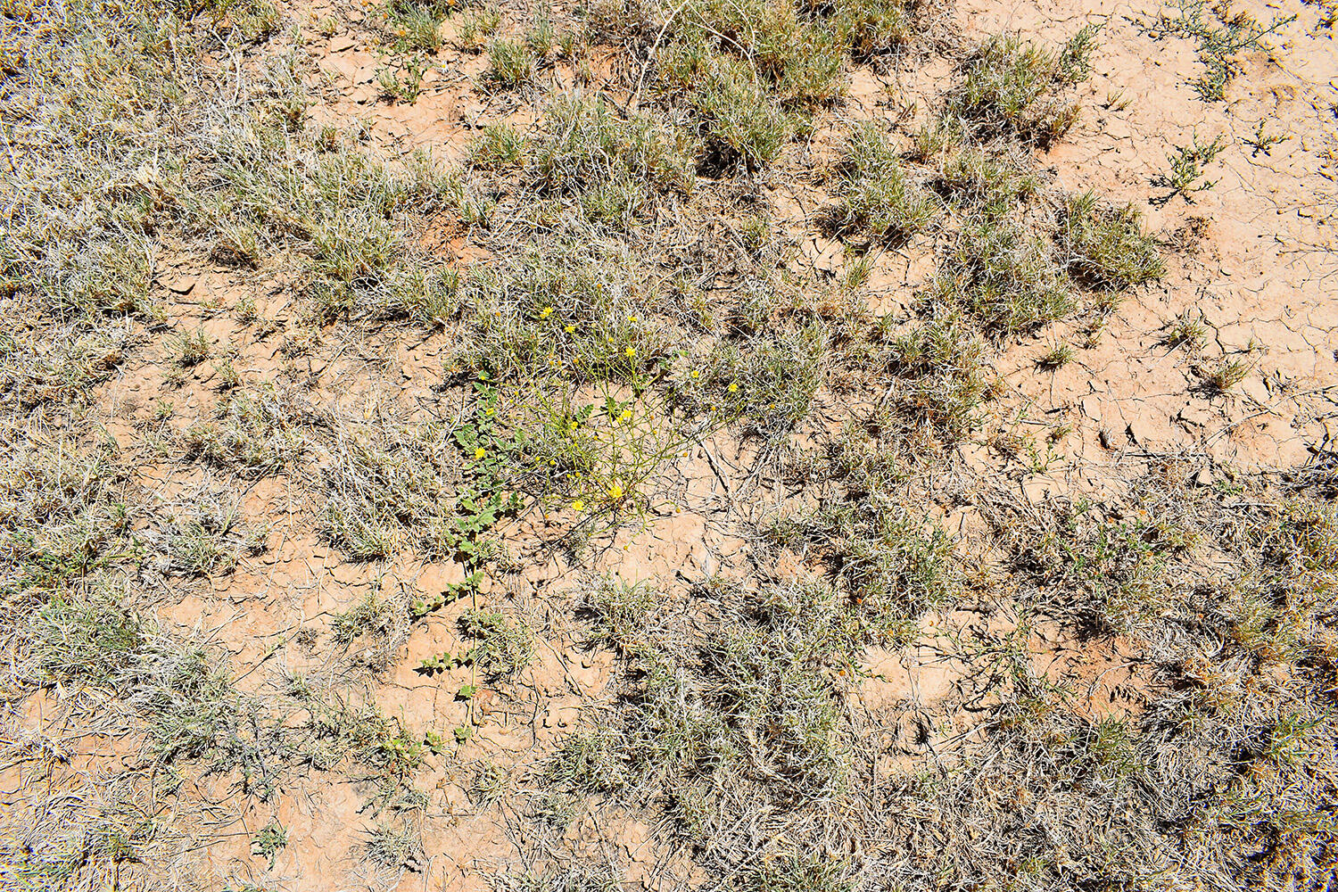 Lot 105 Rancho Rio Grande 16e