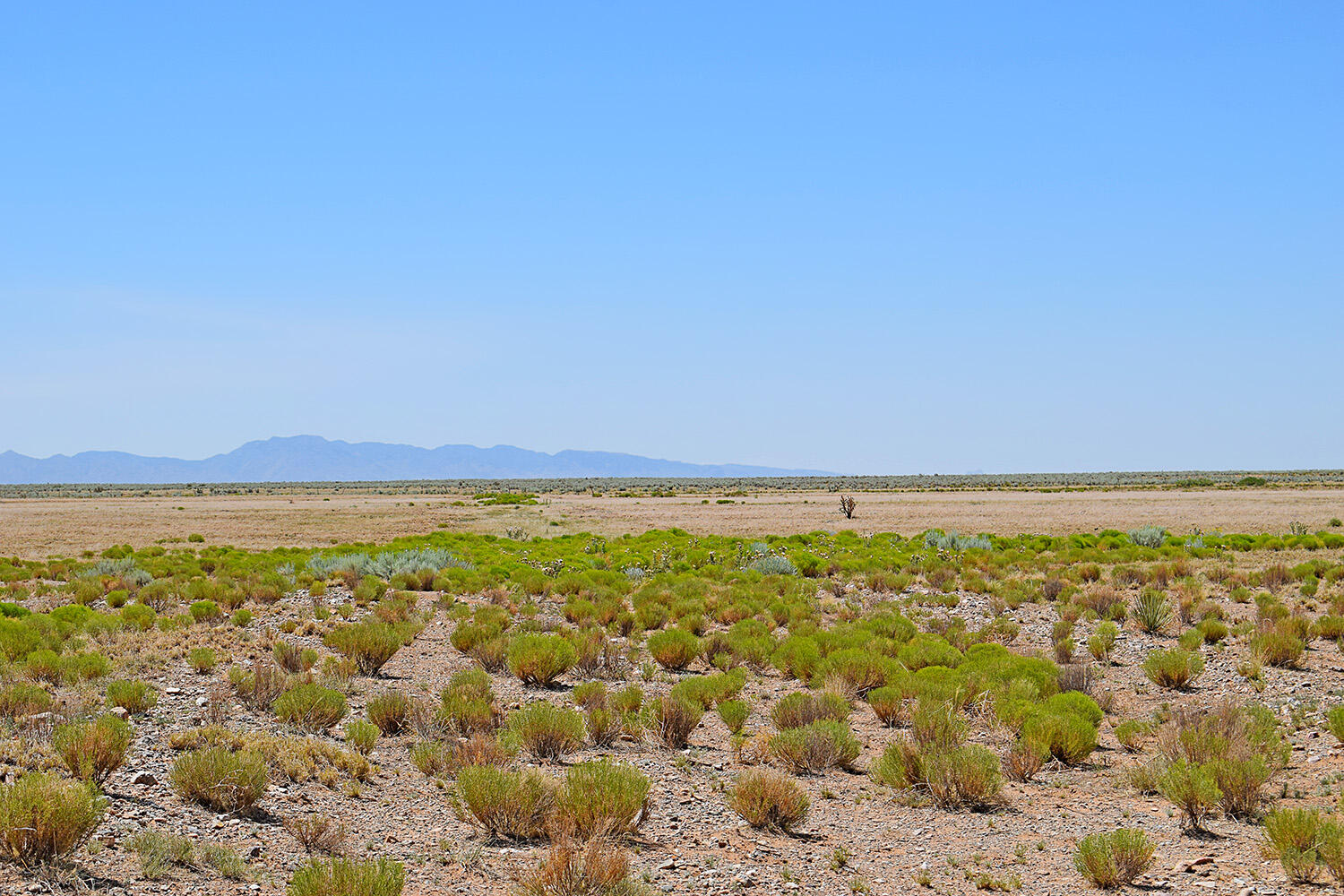 Lot 105 Rancho Rio Grande 16e