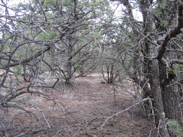 Val Verde Loop