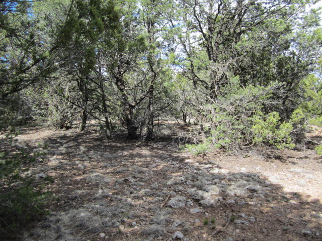Val Verde Loop