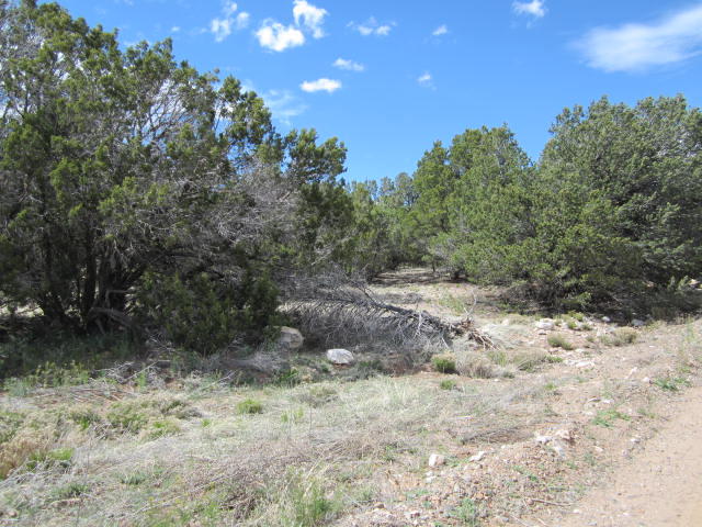 Val Verde Loop