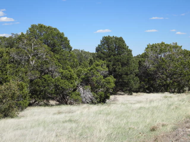 Val Verde Loop
