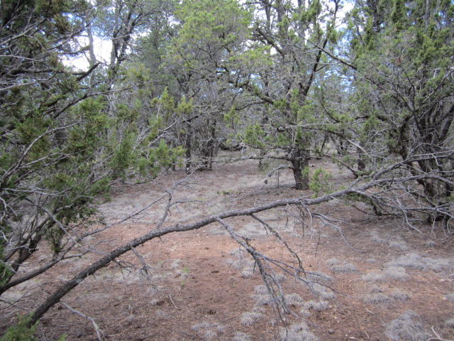 Val Verde Loop