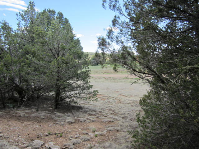 Val Verde Loop