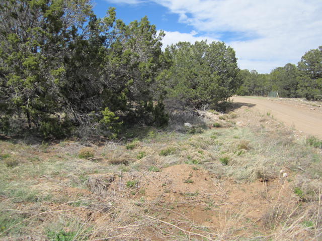Val Verde Loop