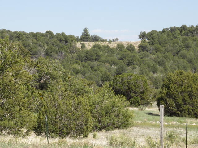 Val Verde Loop