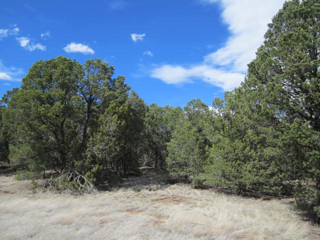 Val Verde Loop