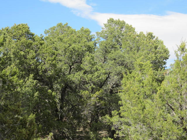 Val Verde Loop