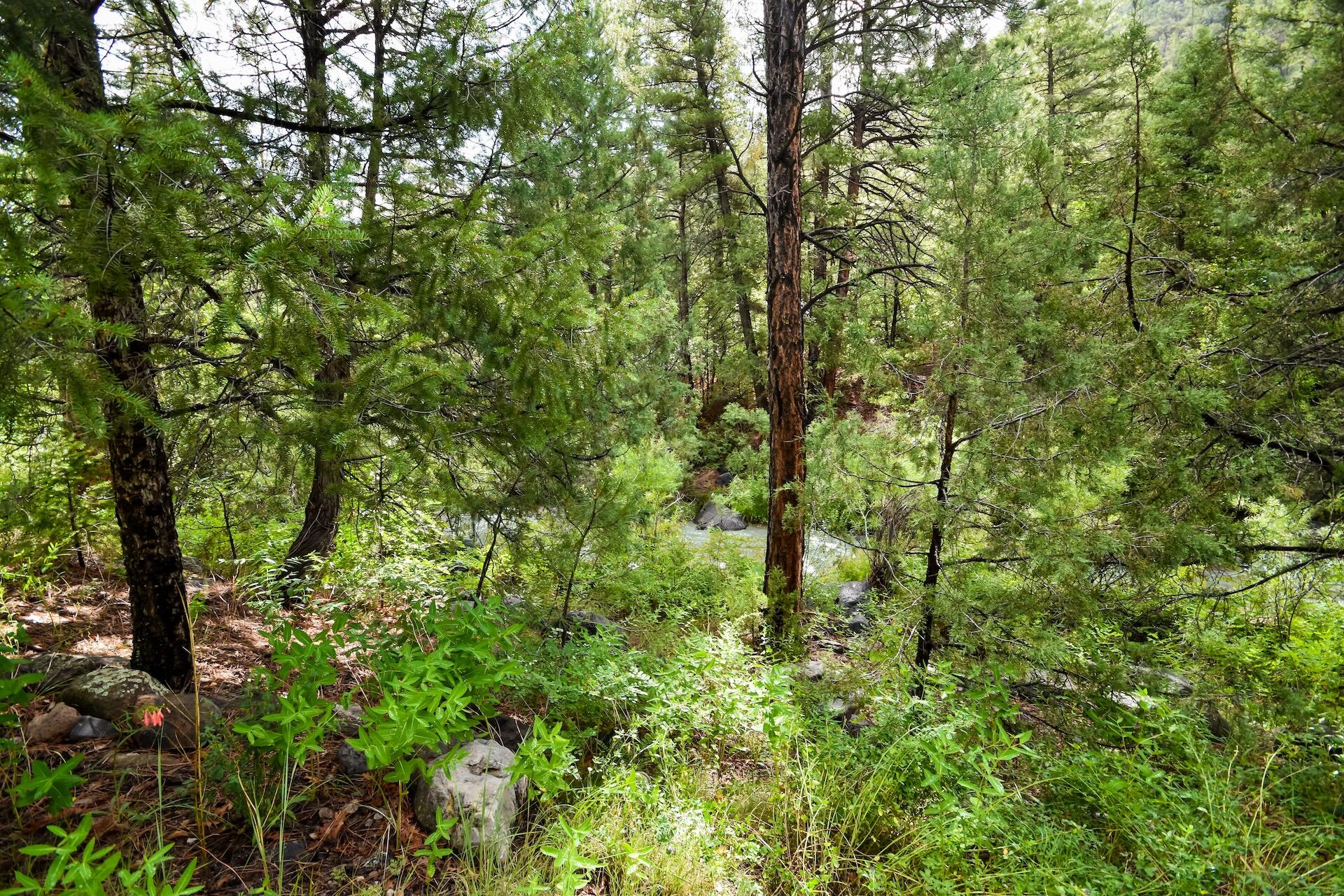 20794 Highway 4