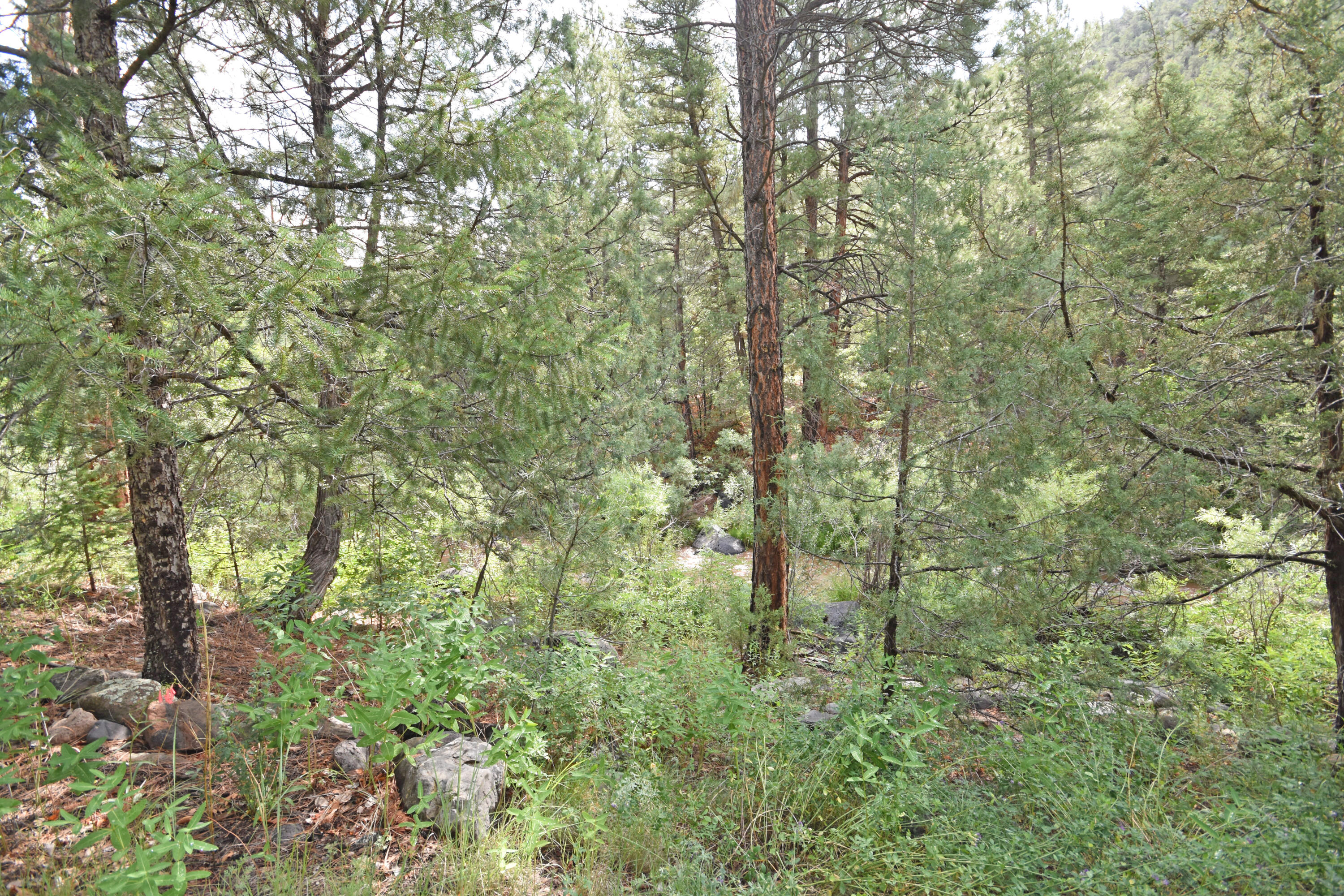20794 Highway 4