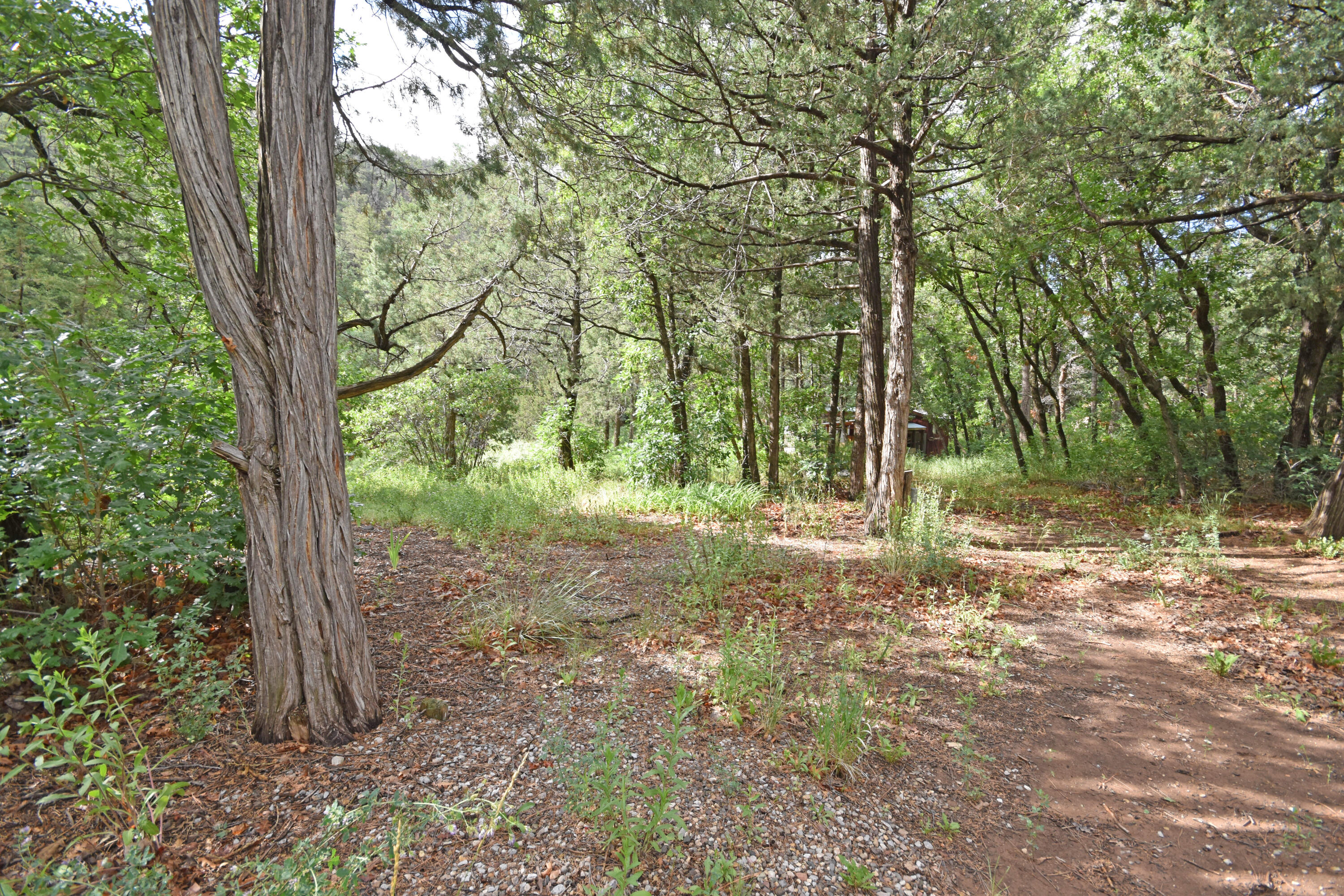 20794 Highway 4