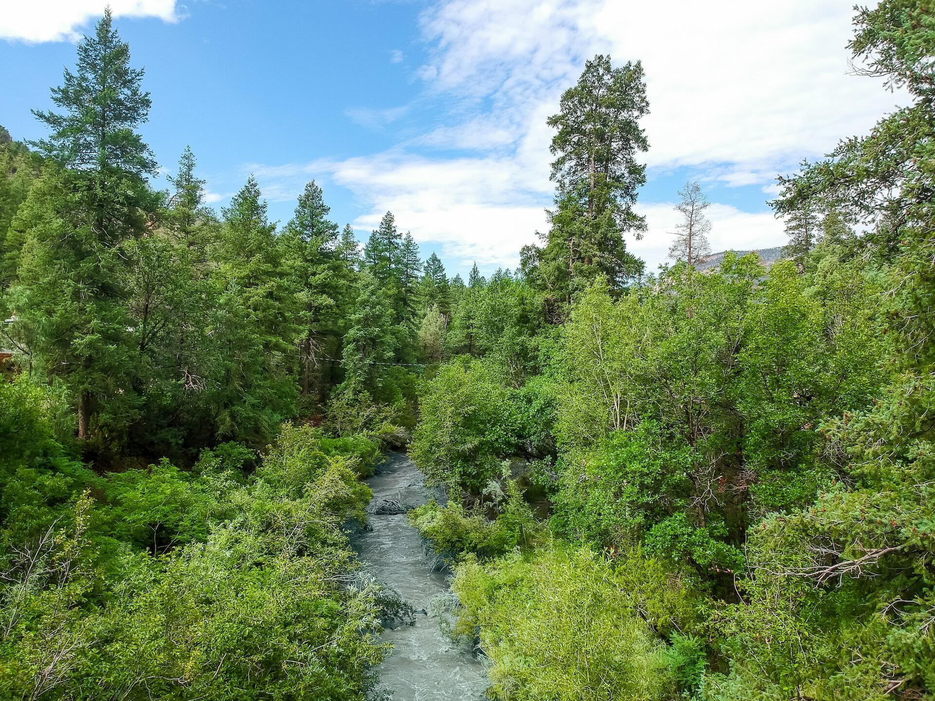 20794 Highway 4