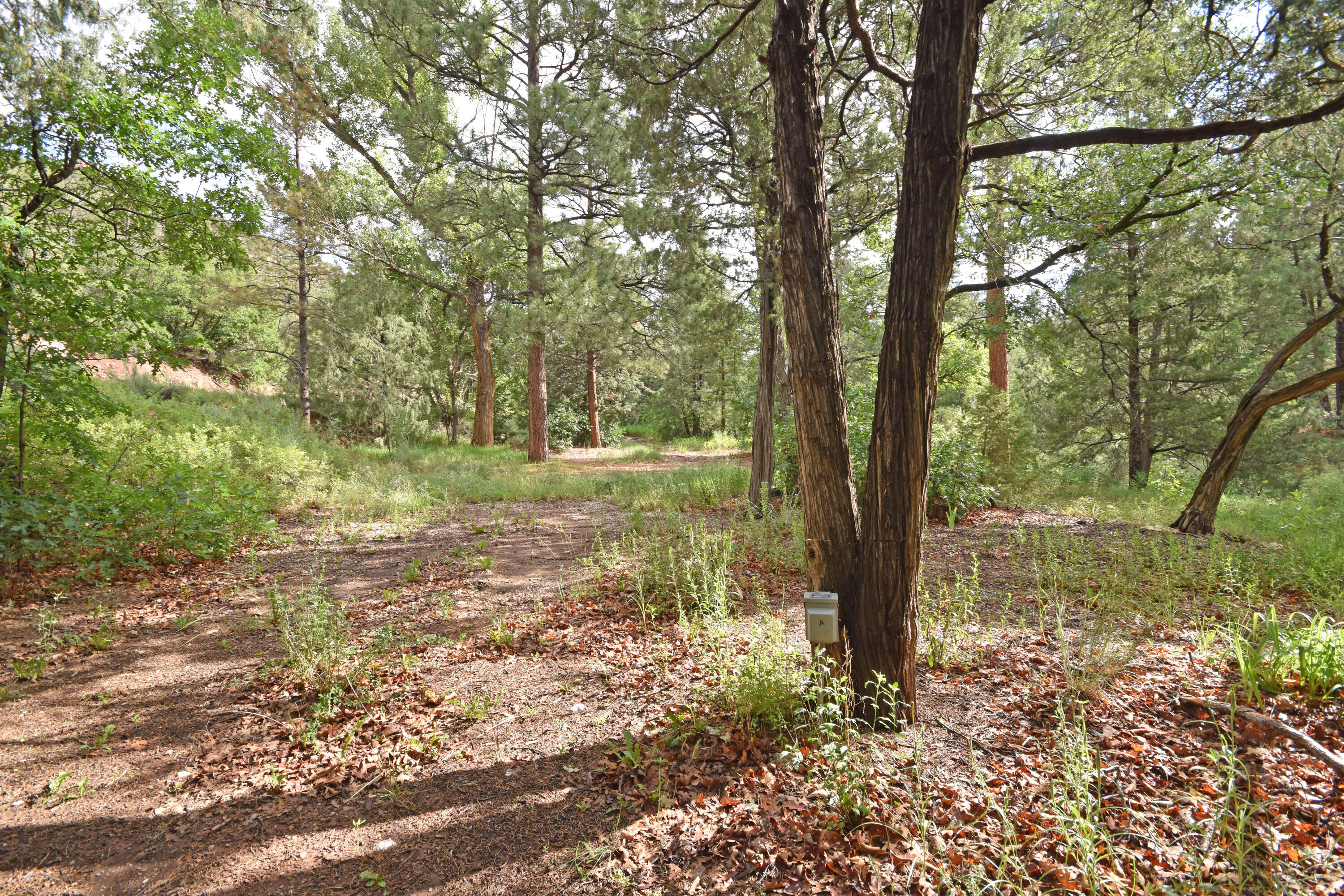 20794 Highway 4