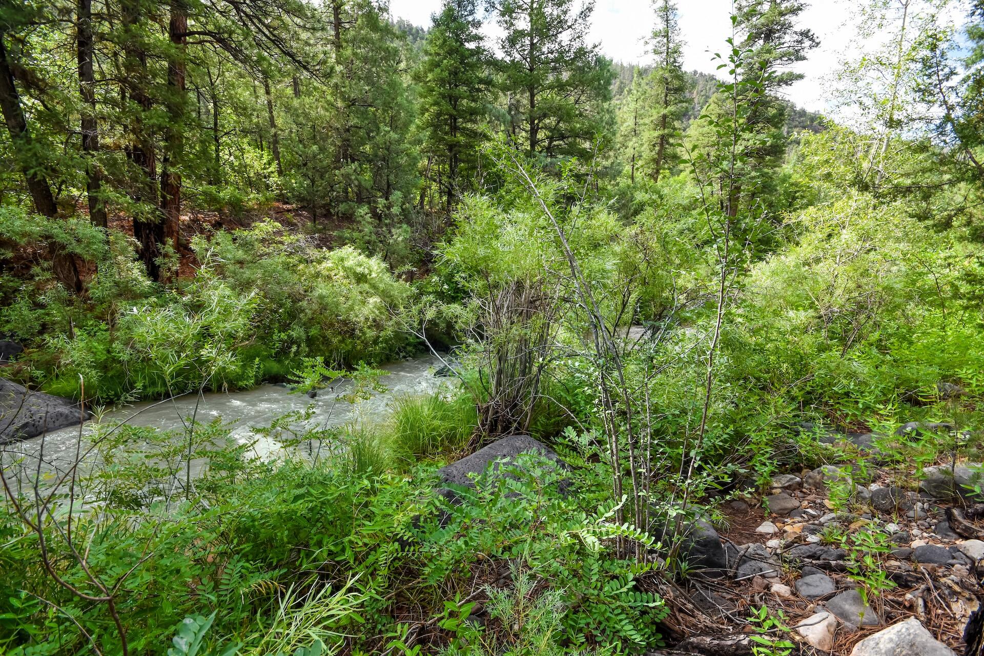 20794 Highway 4