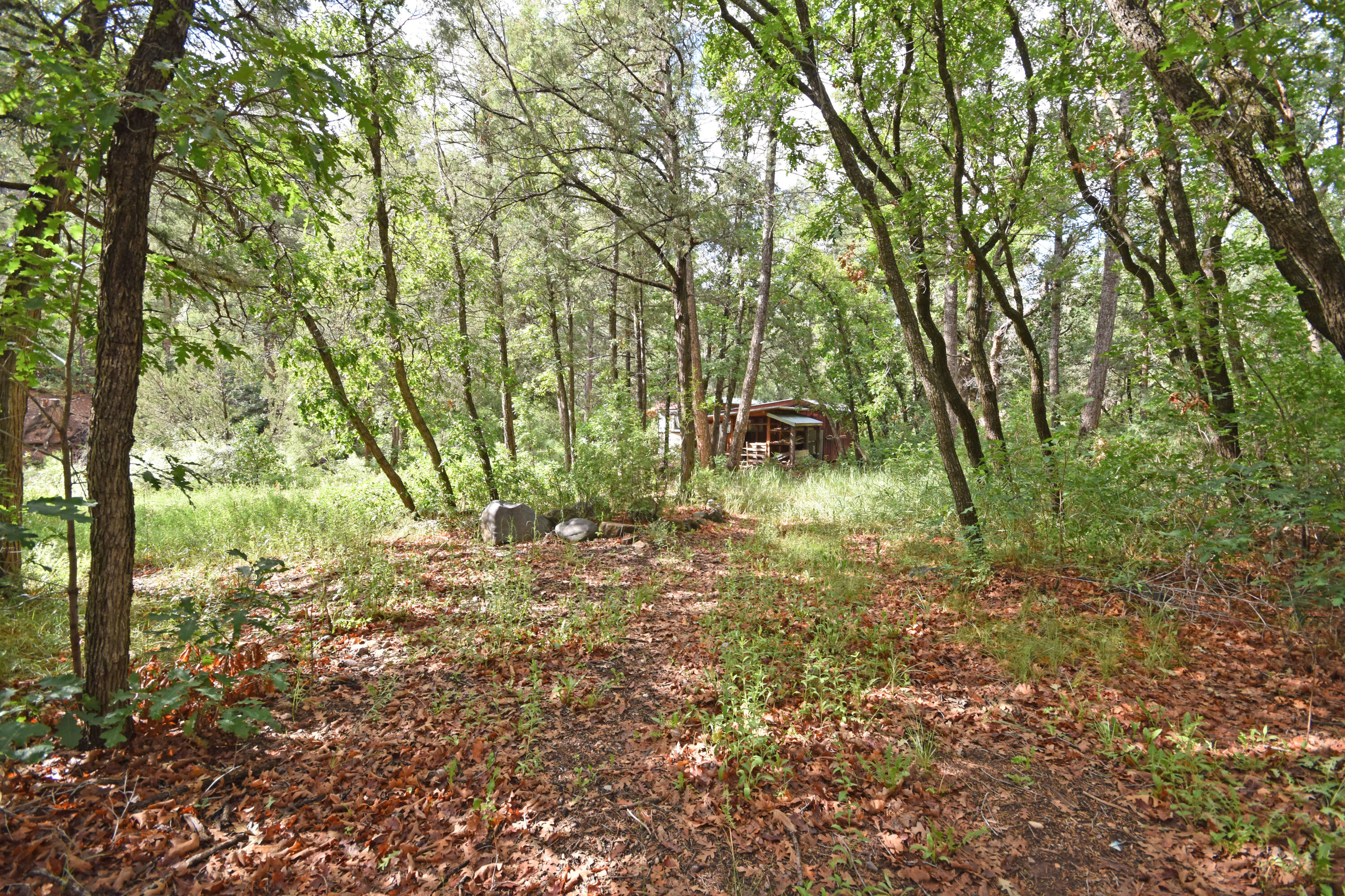 20794 Highway 4