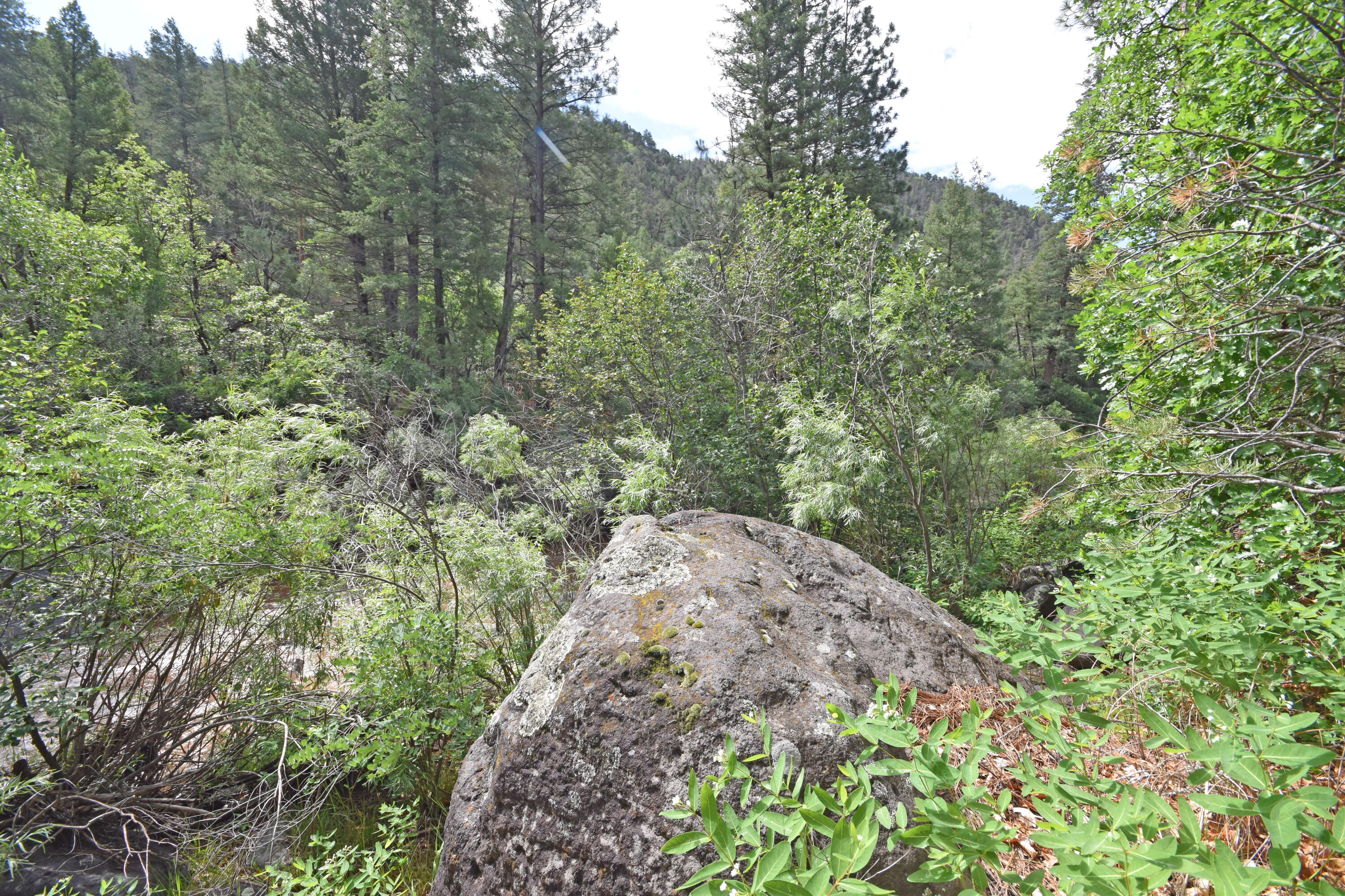 20794 Highway 4
