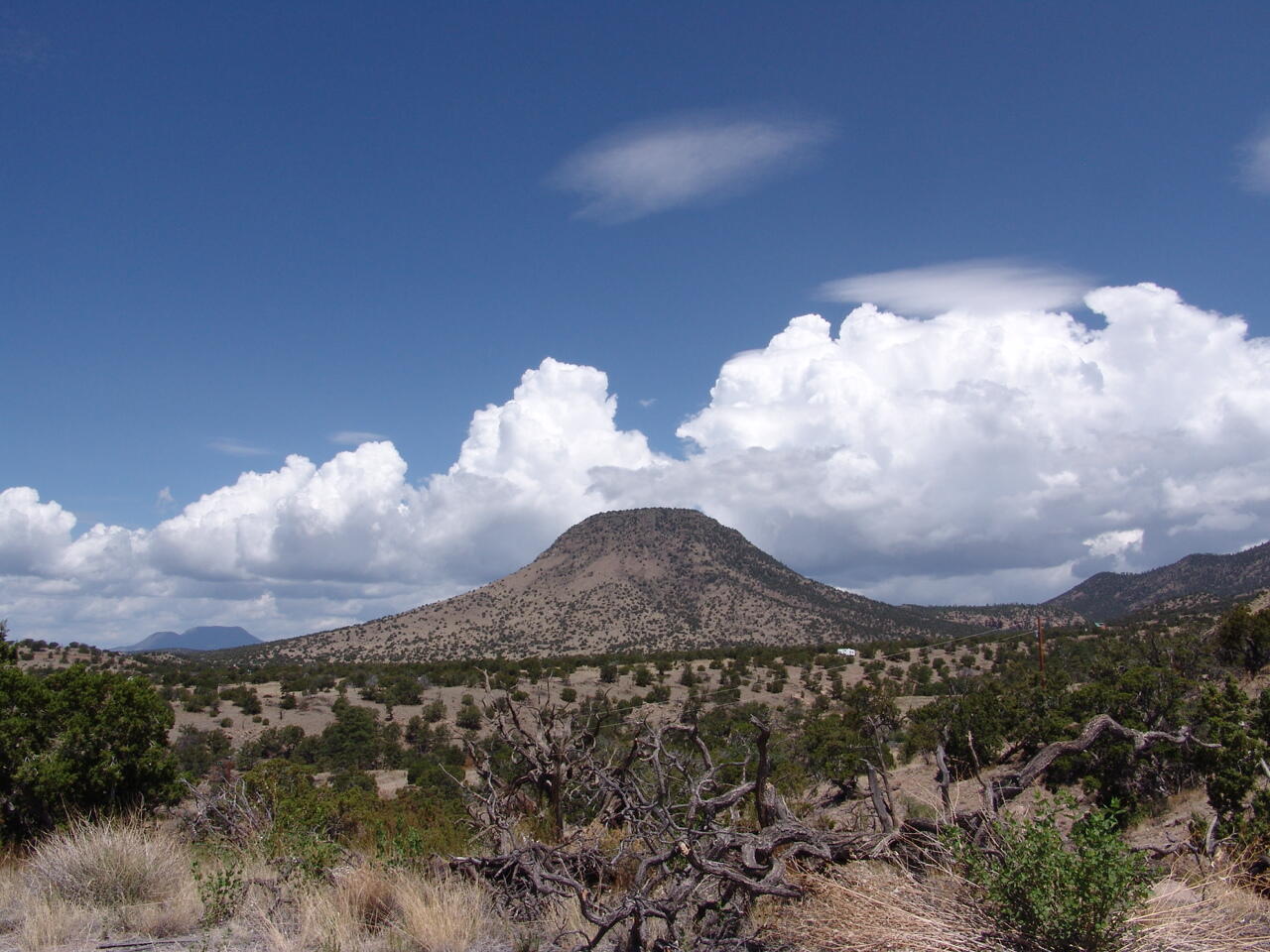 35 Bear Track Trail