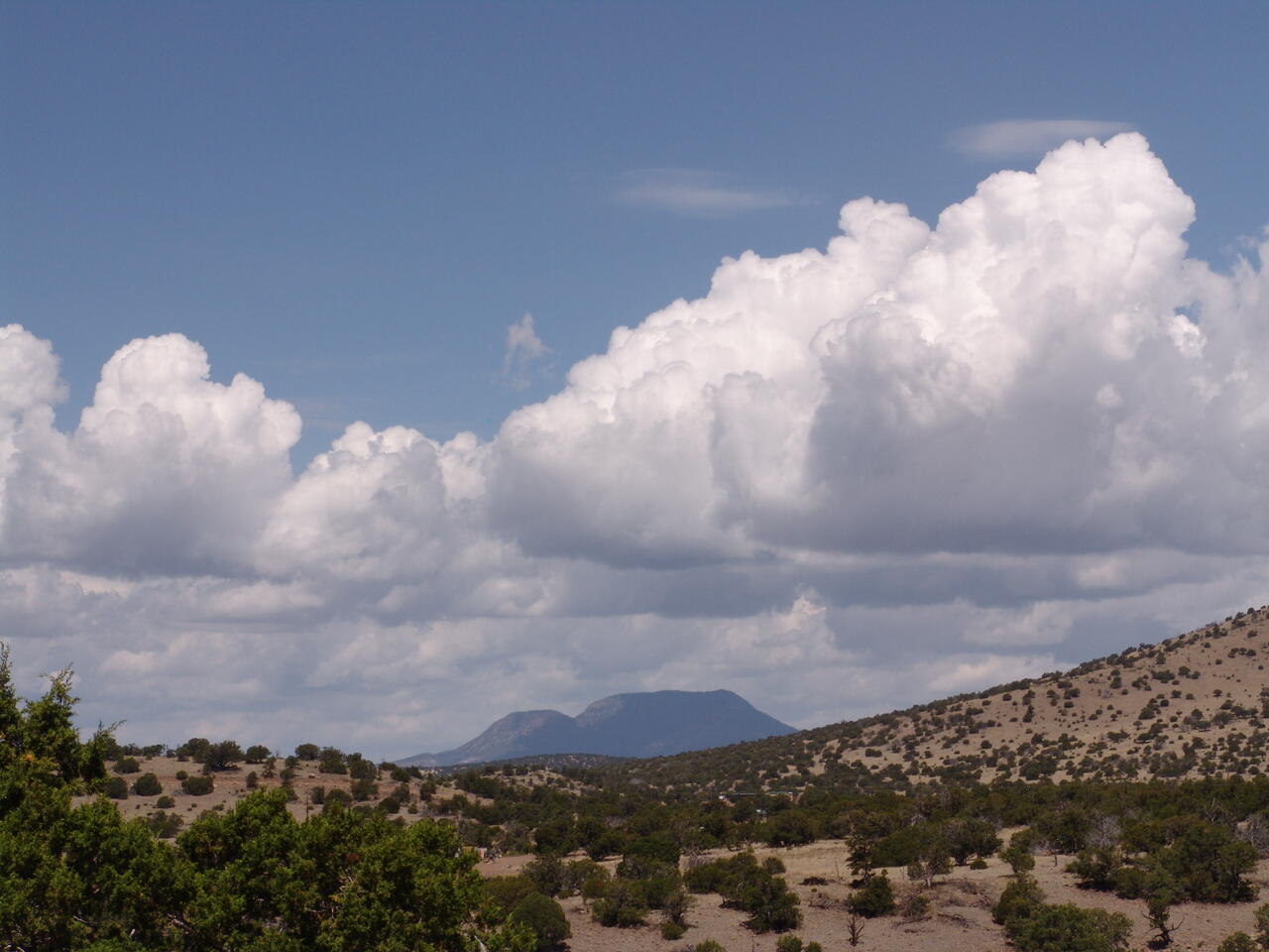 35 Bear Track Trail