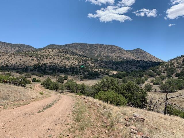 35 Bear Track Trail