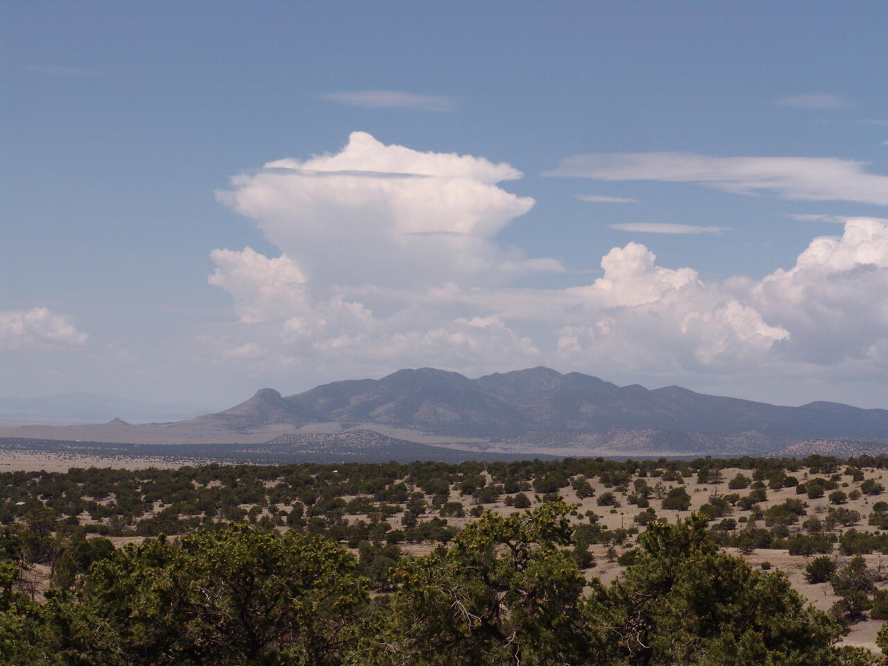 35 Bear Track Trail