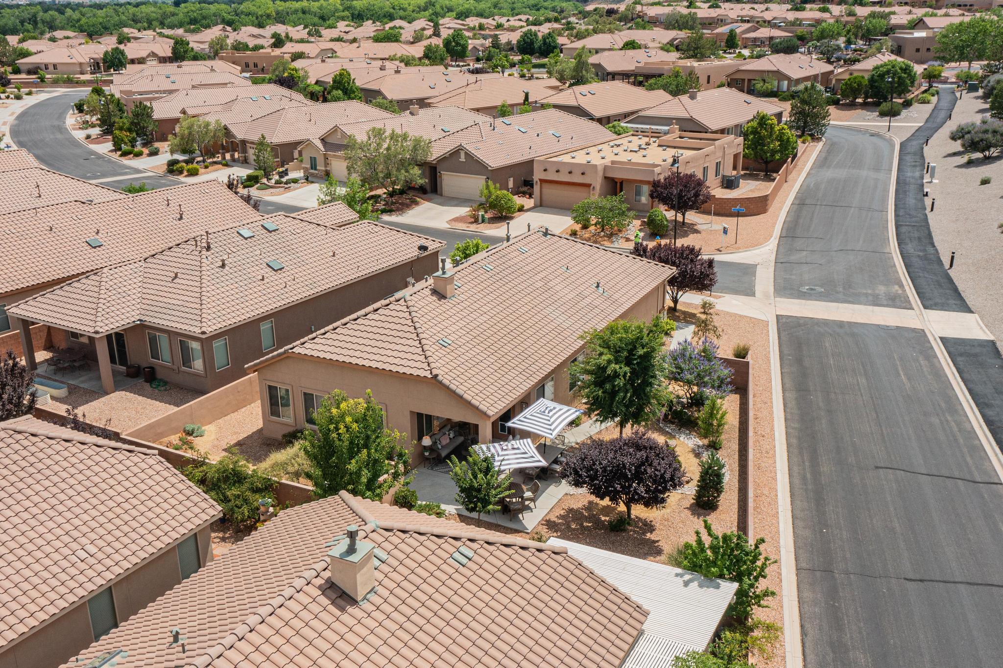 800 Purple Aster Drive