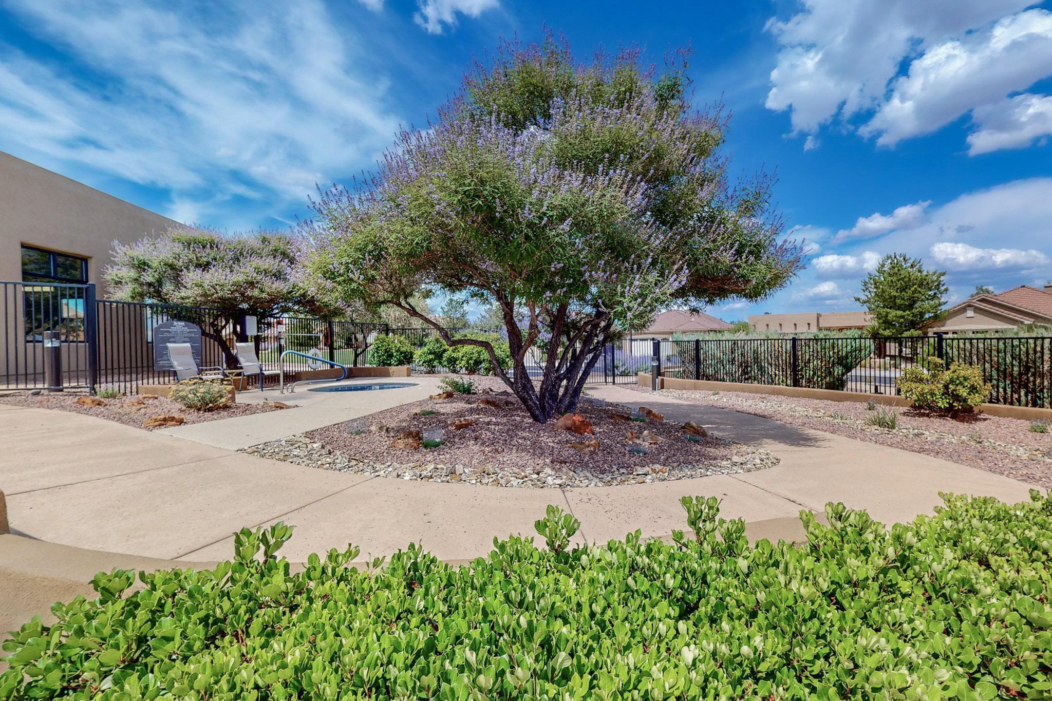 800 Purple Aster Drive