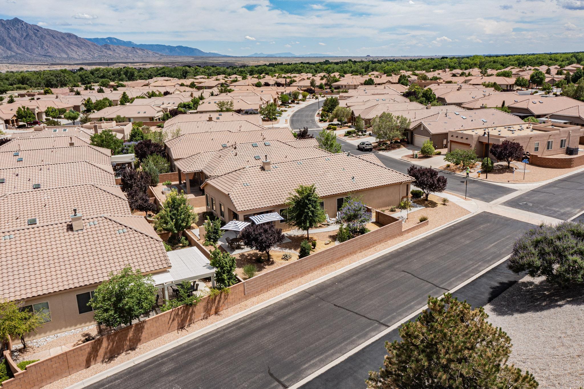 800 Purple Aster Drive