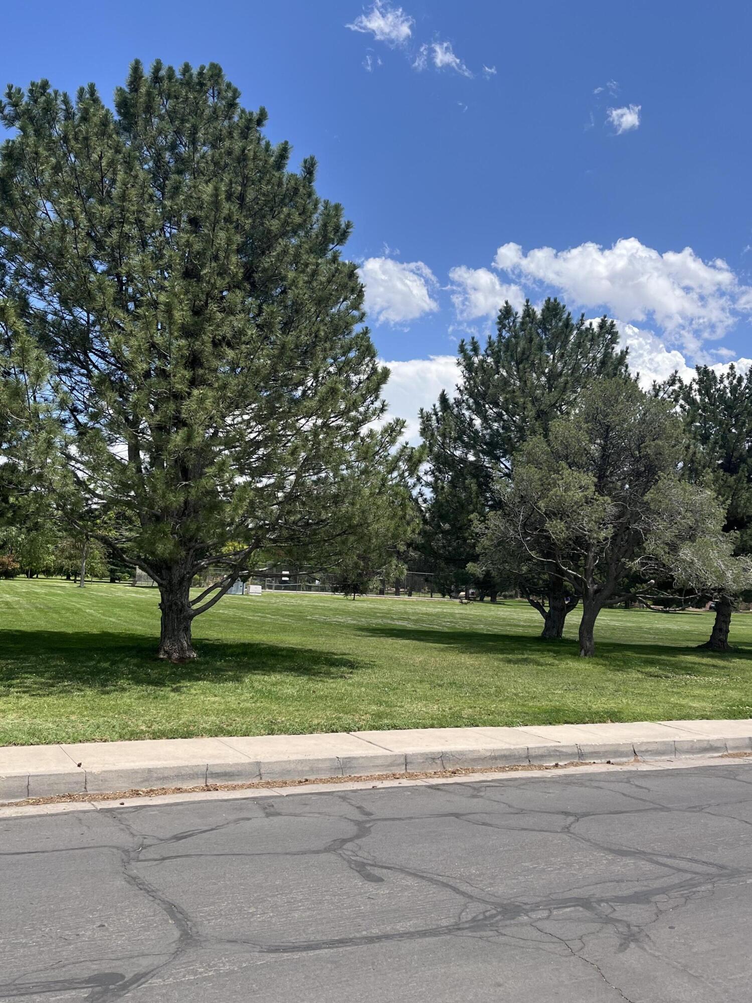 1718 Aliso Drive NE