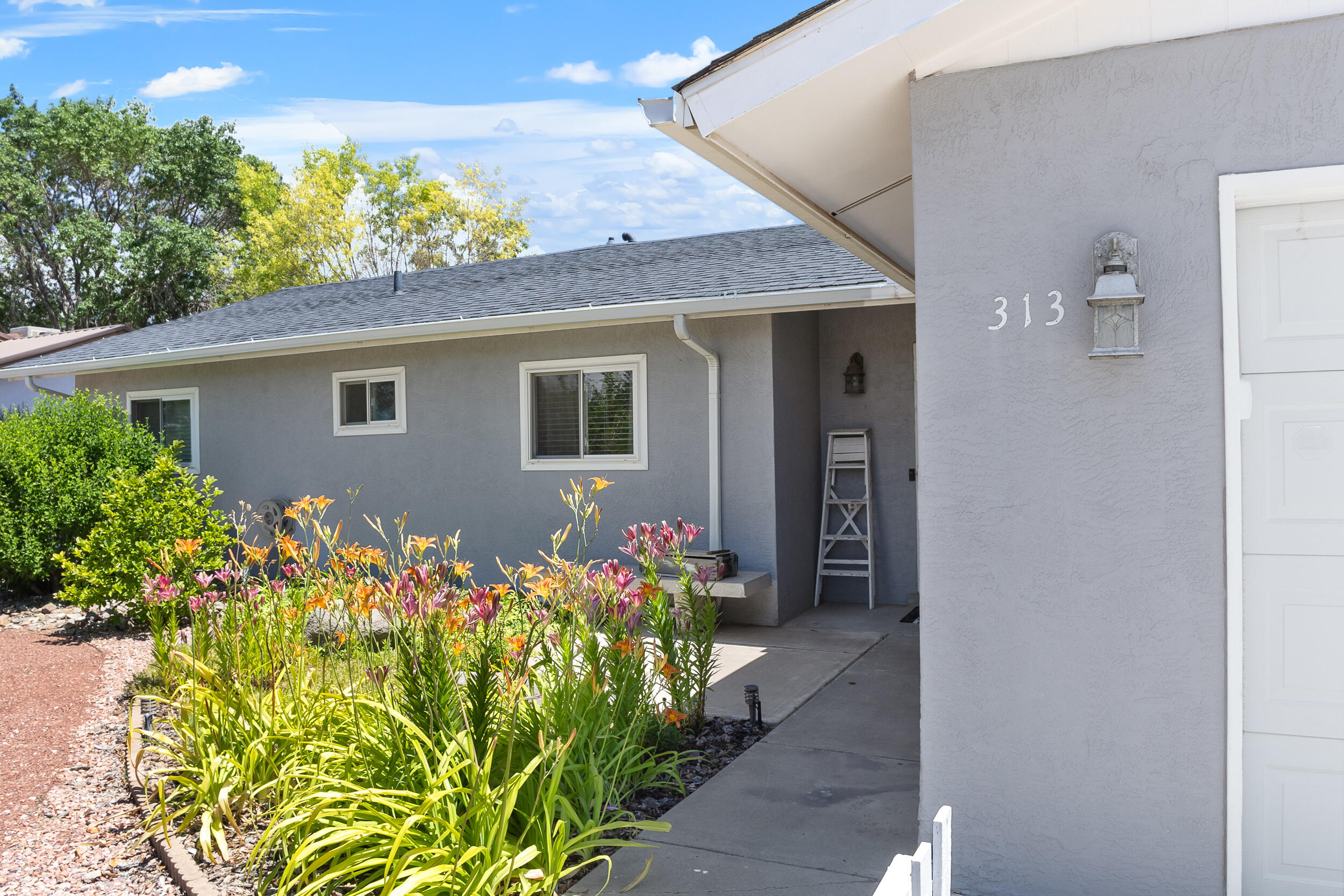 313 Gorman Avenue