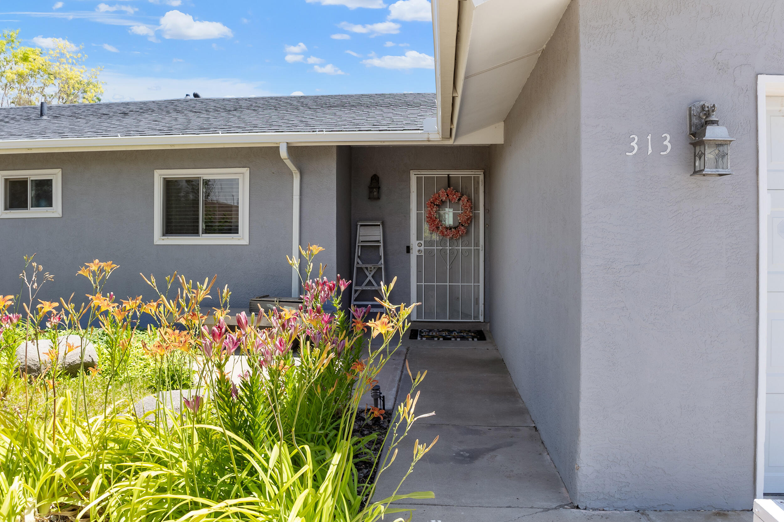 313 Gorman Avenue