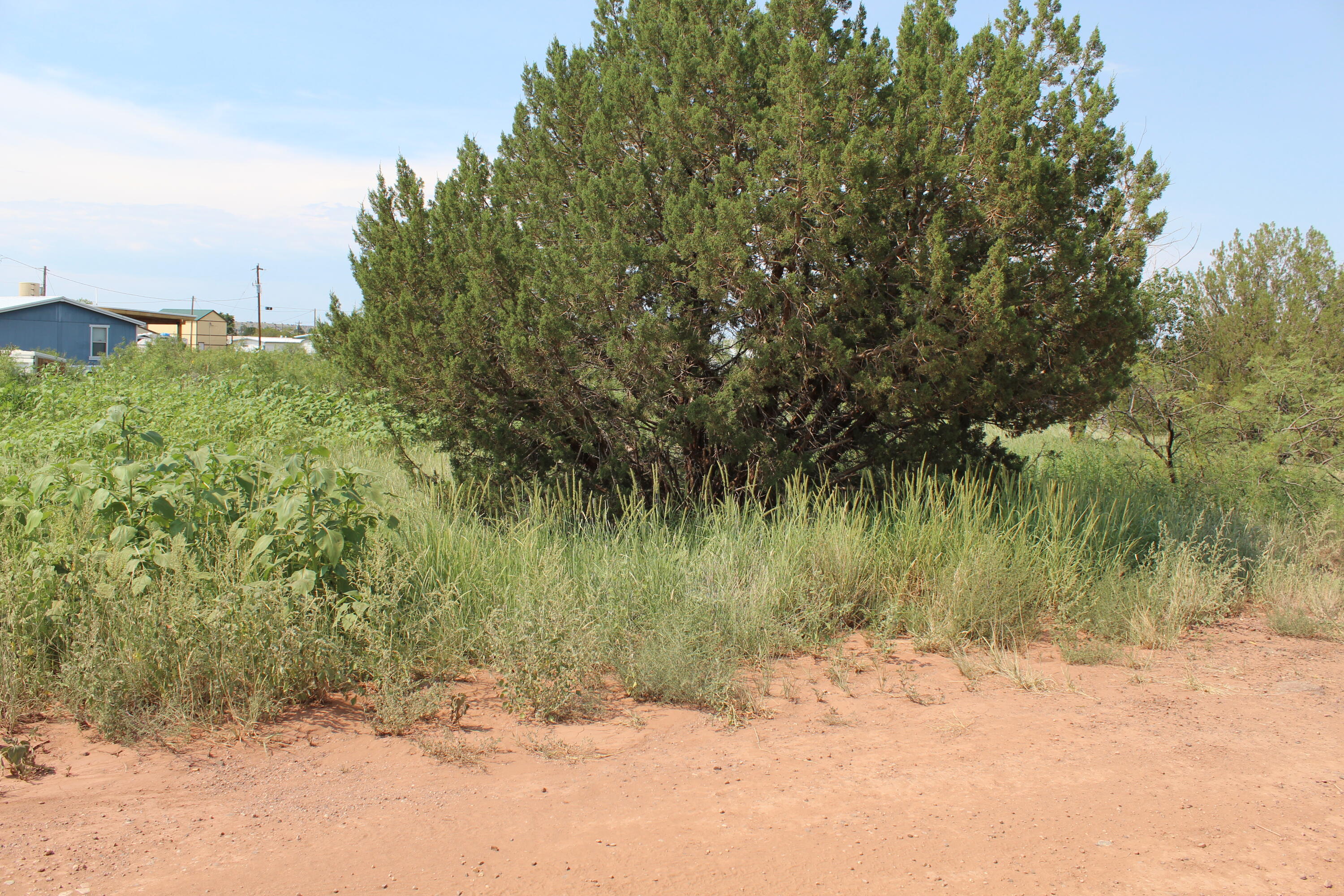 221 Yucca Drive