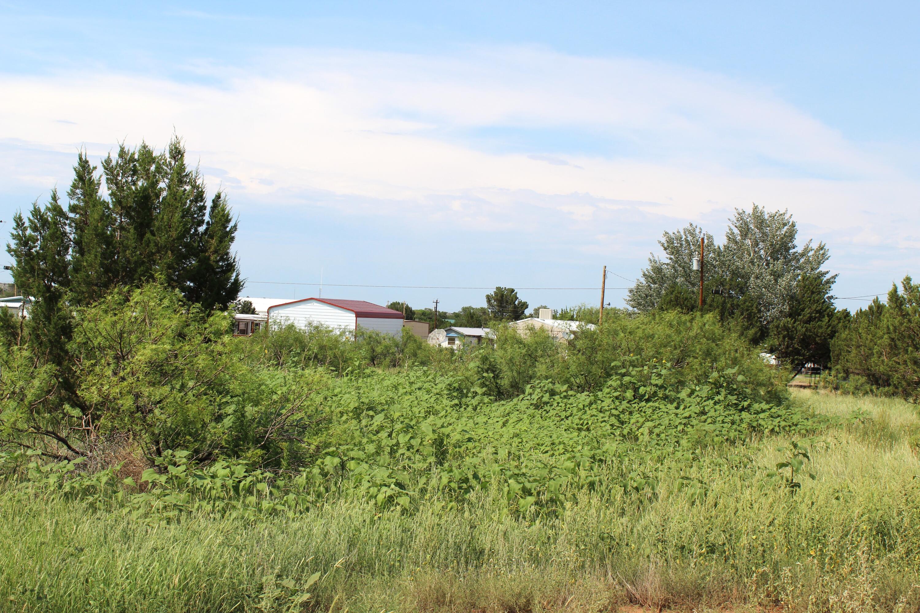 221 Yucca Drive
