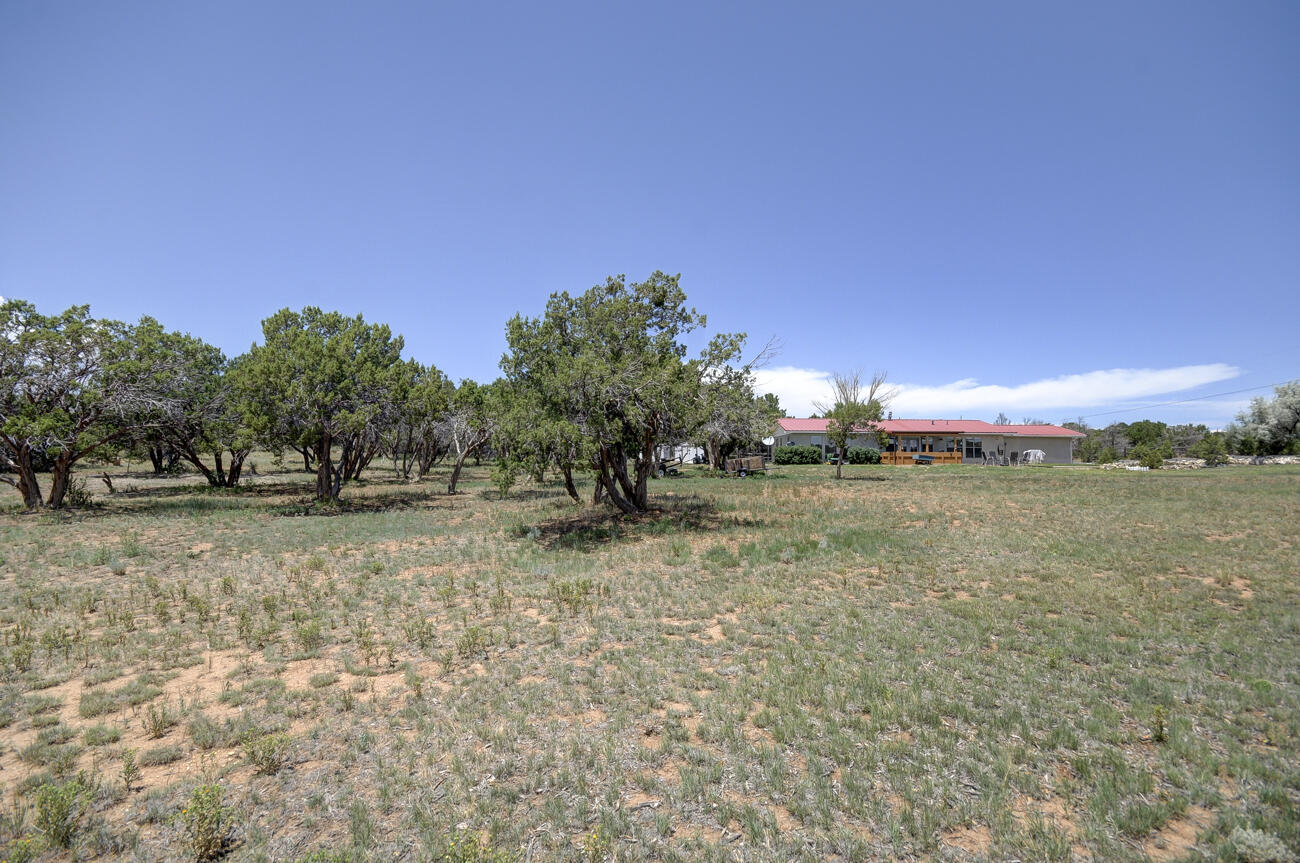 1307 Mountain Valley Road