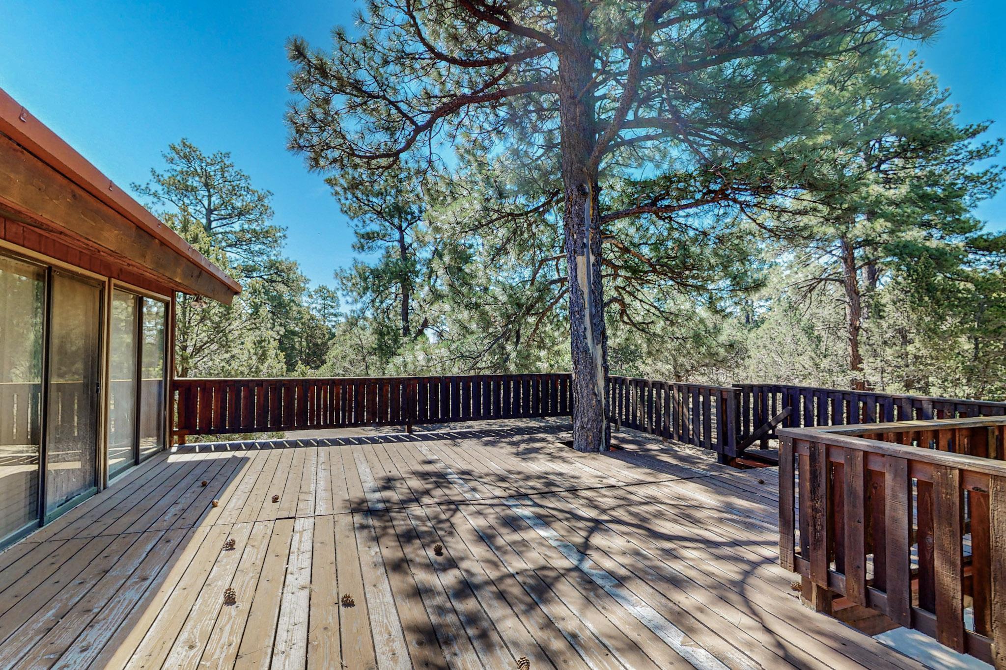 32 Bobolink Lane