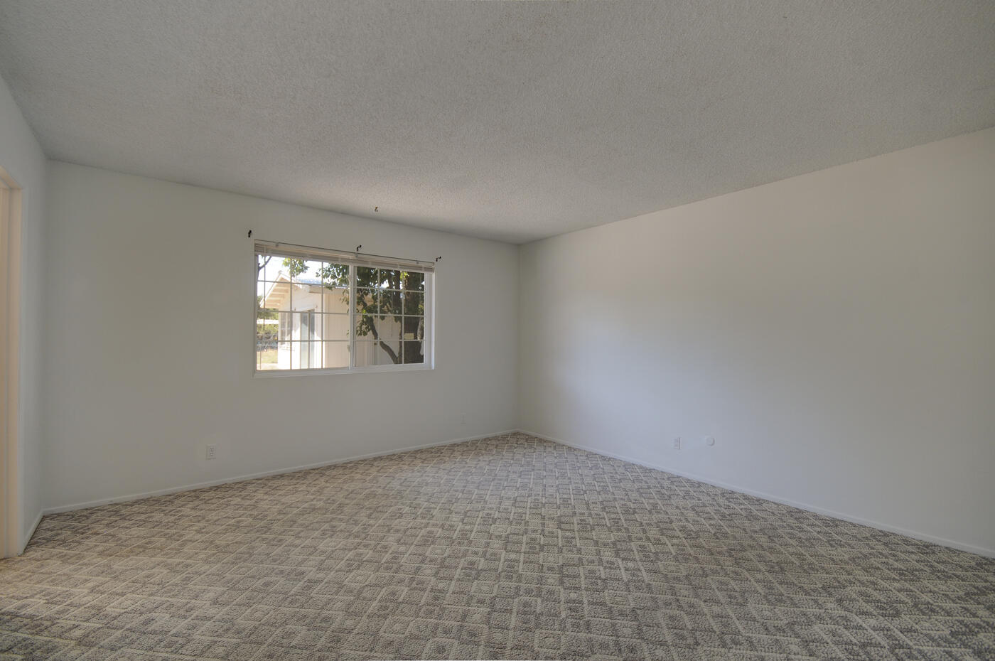 233 Grey Place