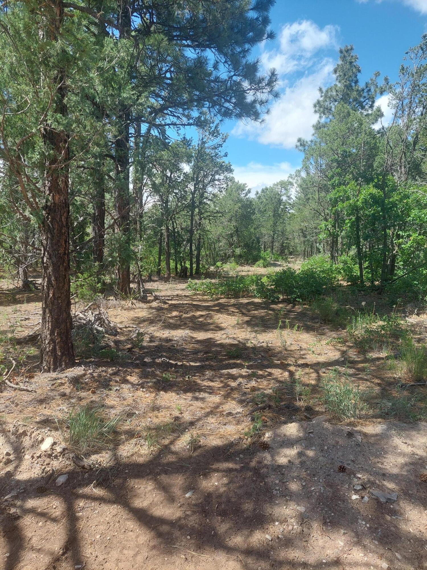16 Secret Pines Court