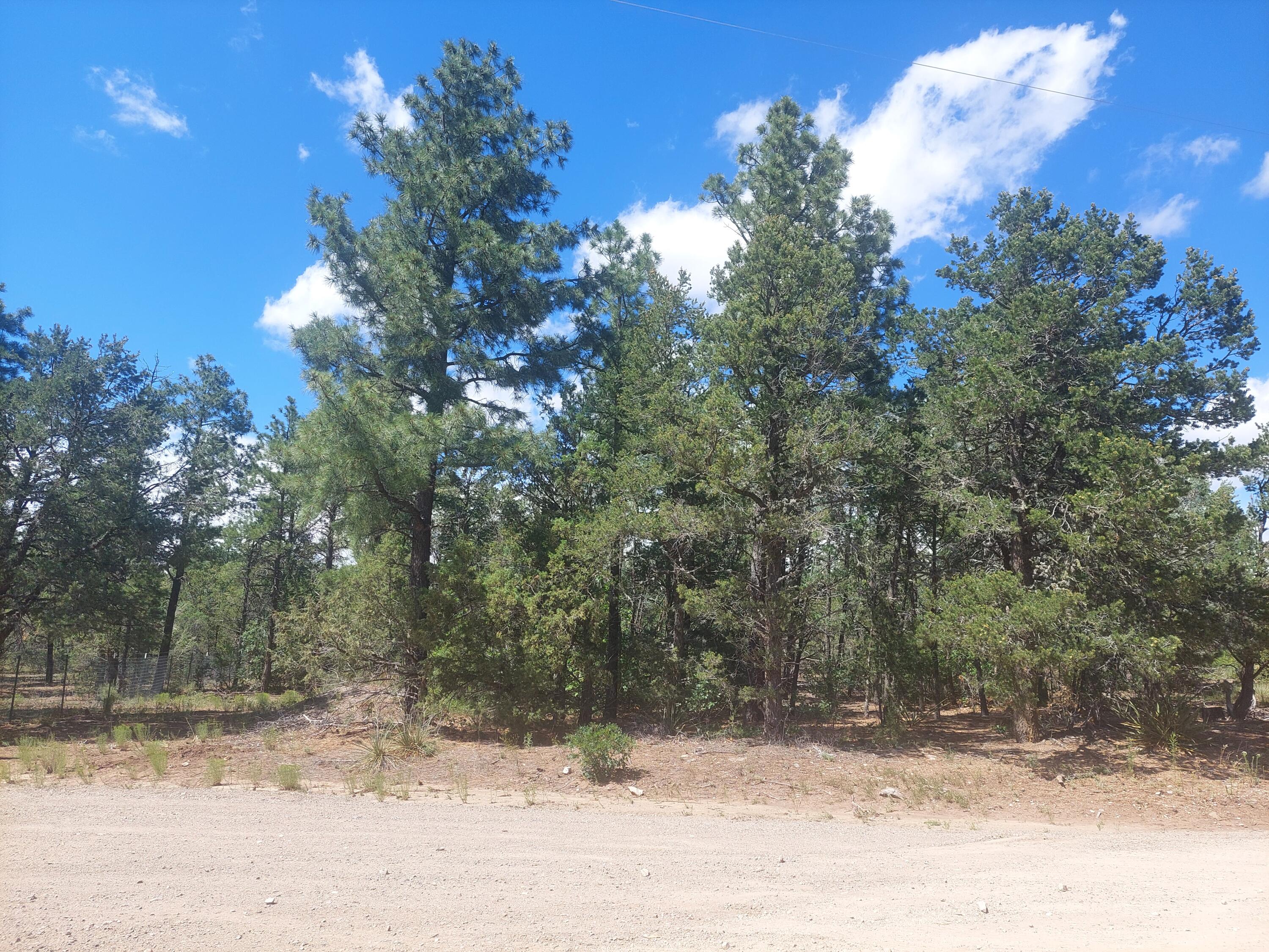 16 Secret Pines Court