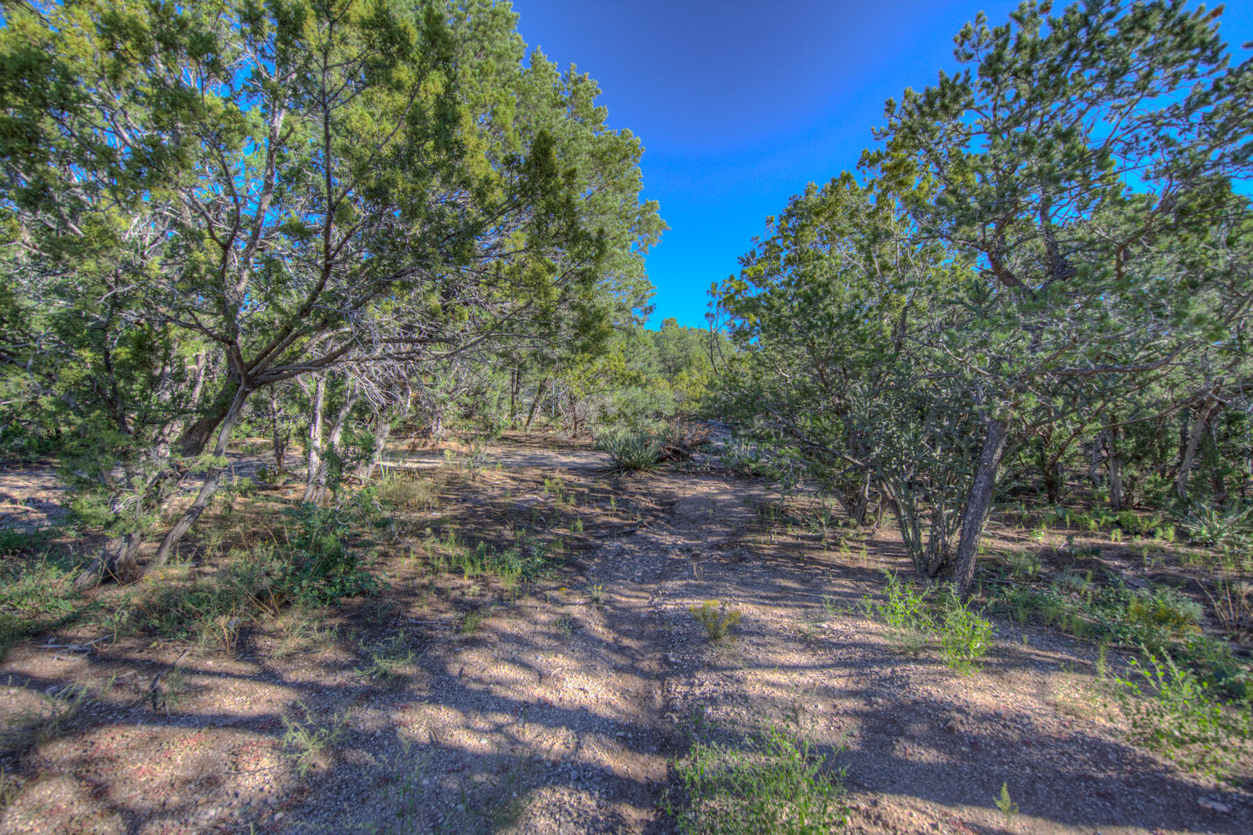 275 Sedillo Hill Road