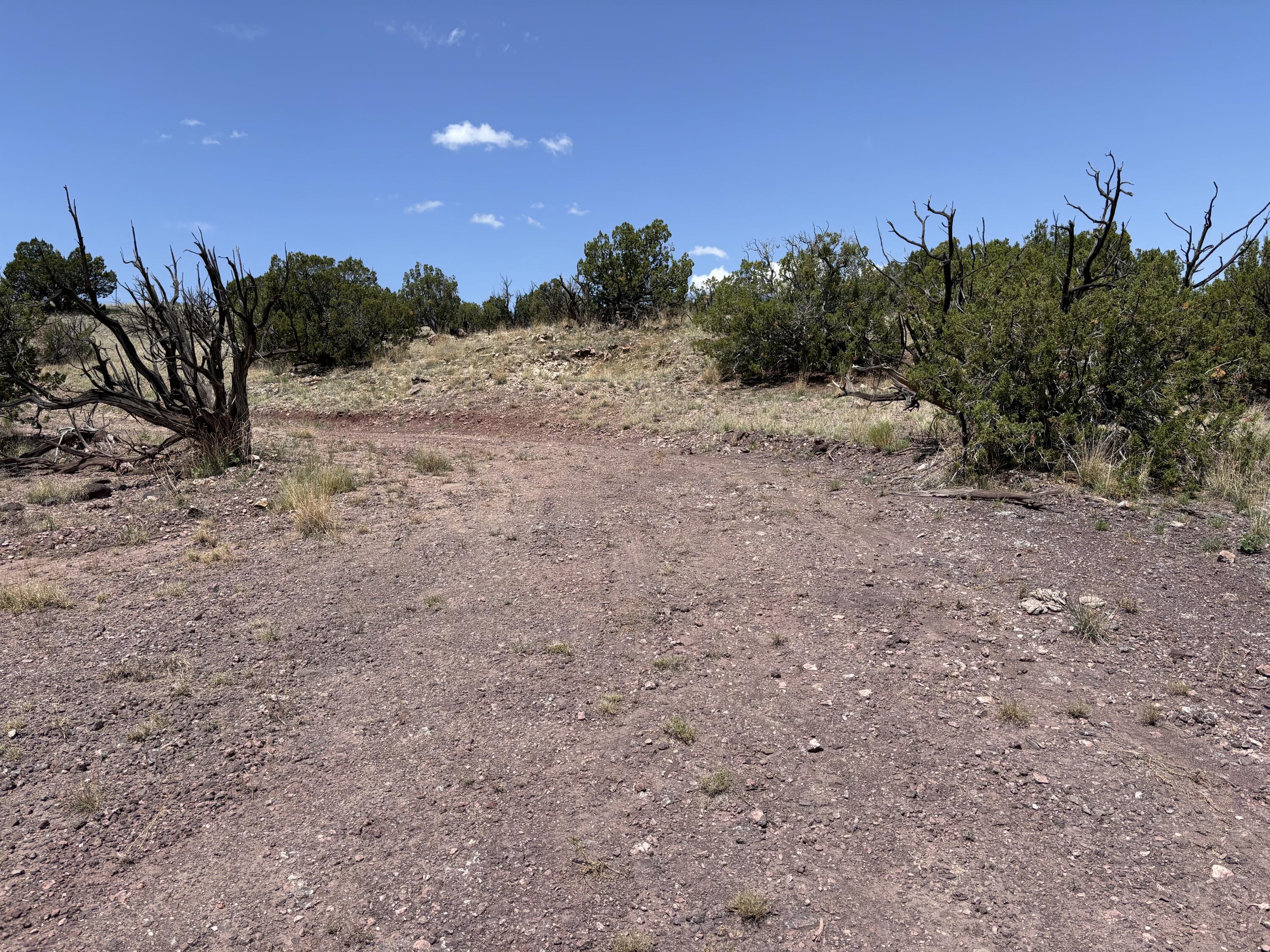 Lot 13 Abbe Springs Ranches