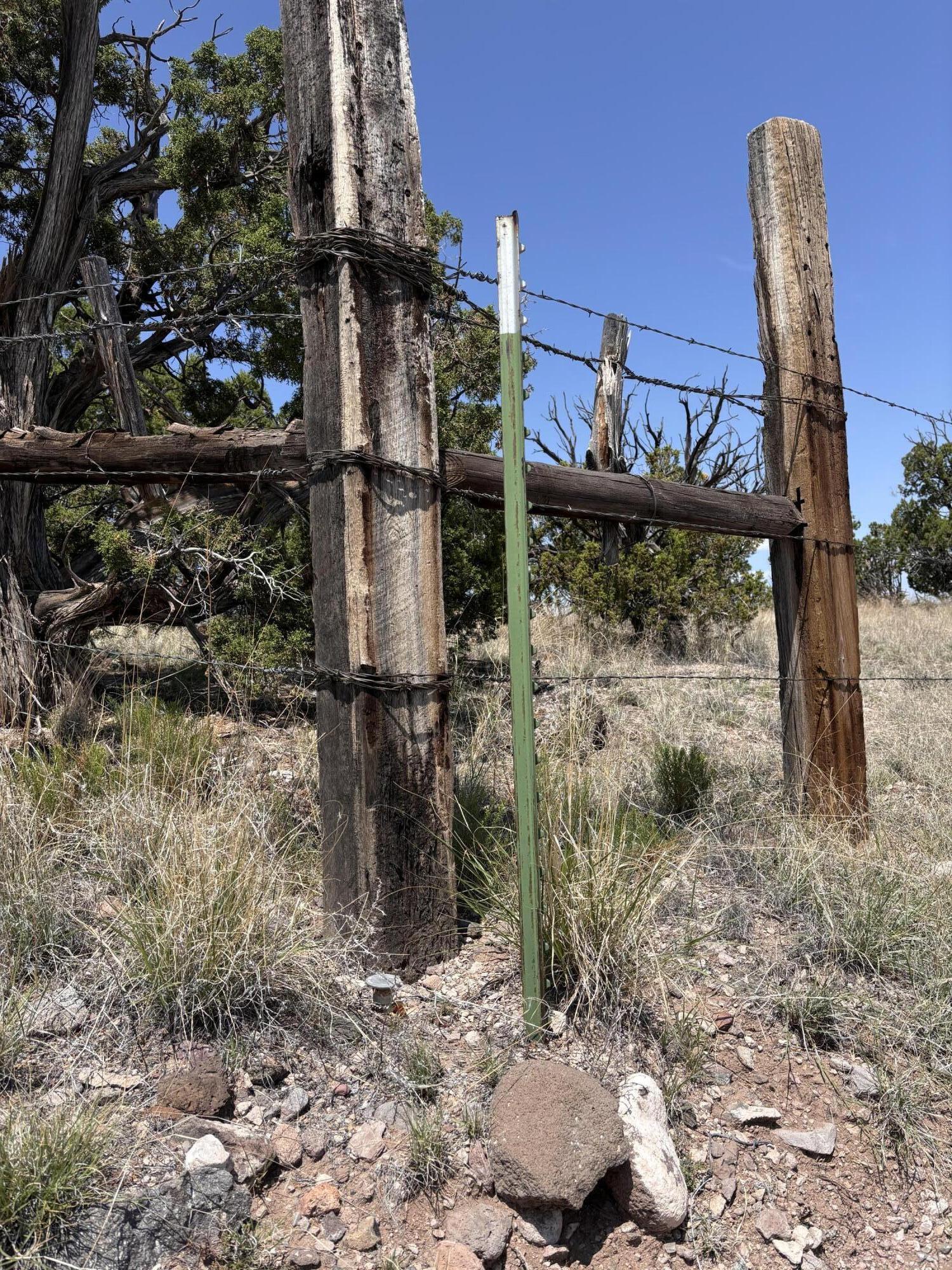 Lot 13 Abbe Springs Ranches