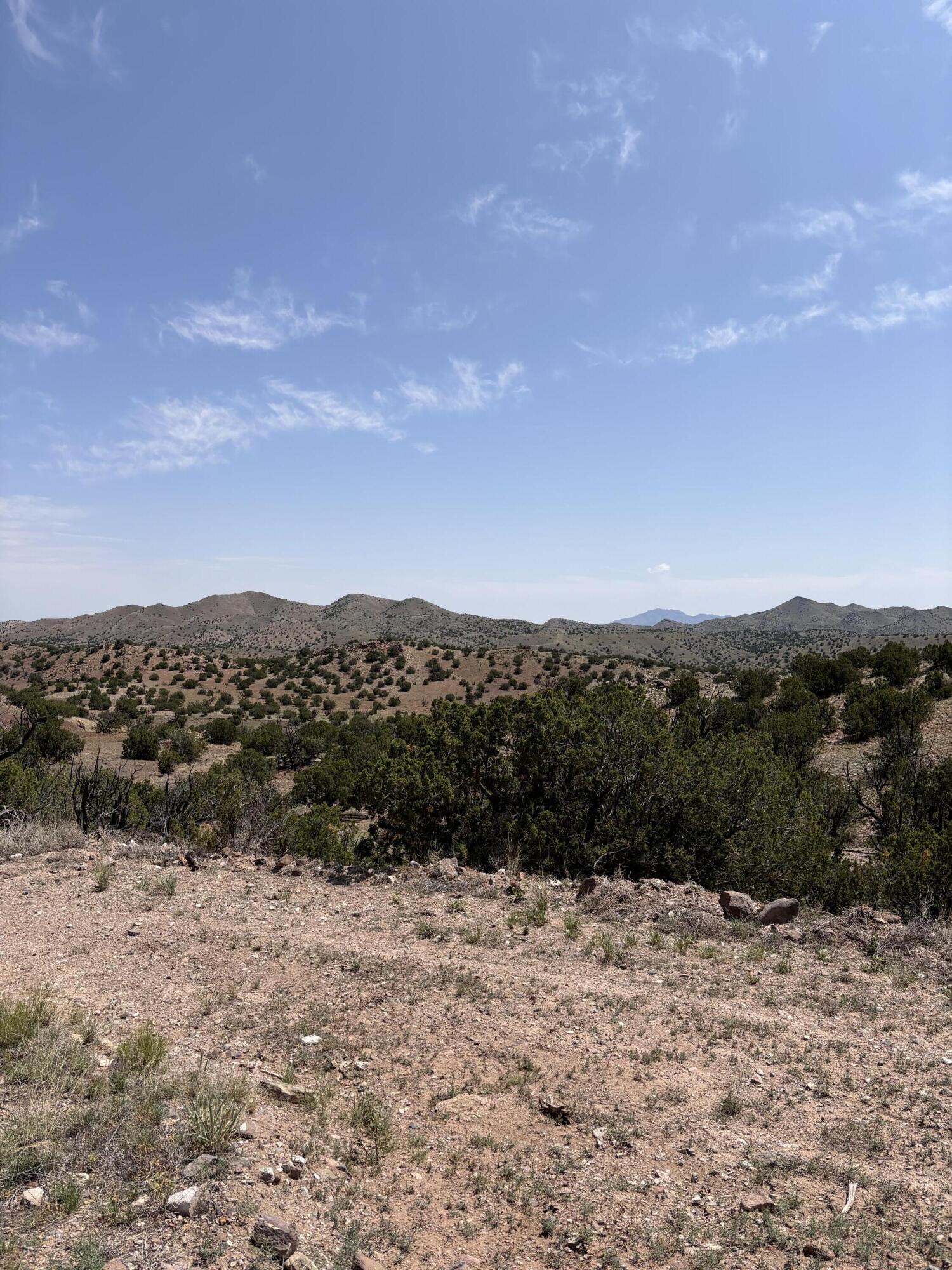 Lot 13 Abbe Springs Ranches