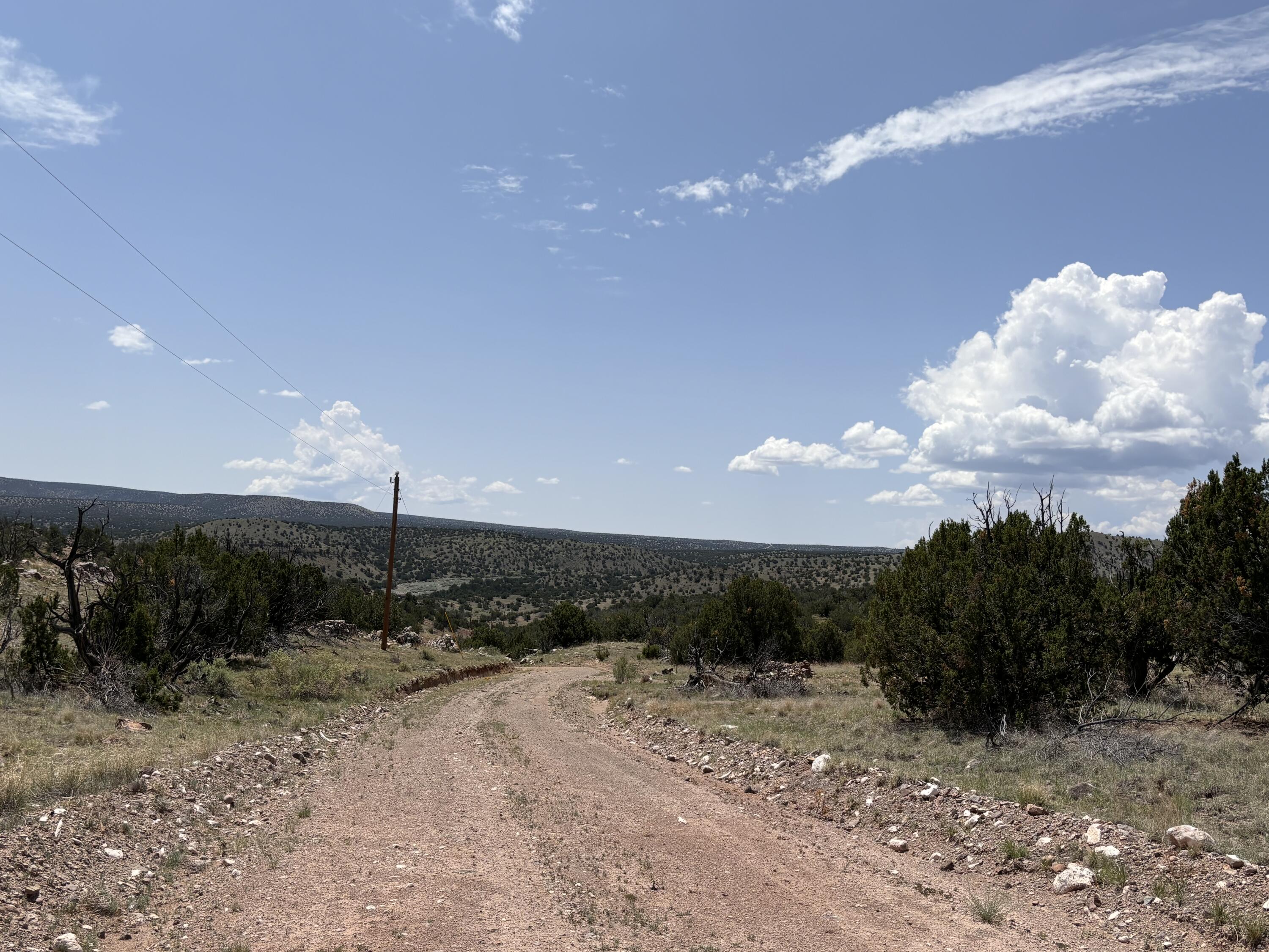 Lot 13 Abbe Springs Ranches