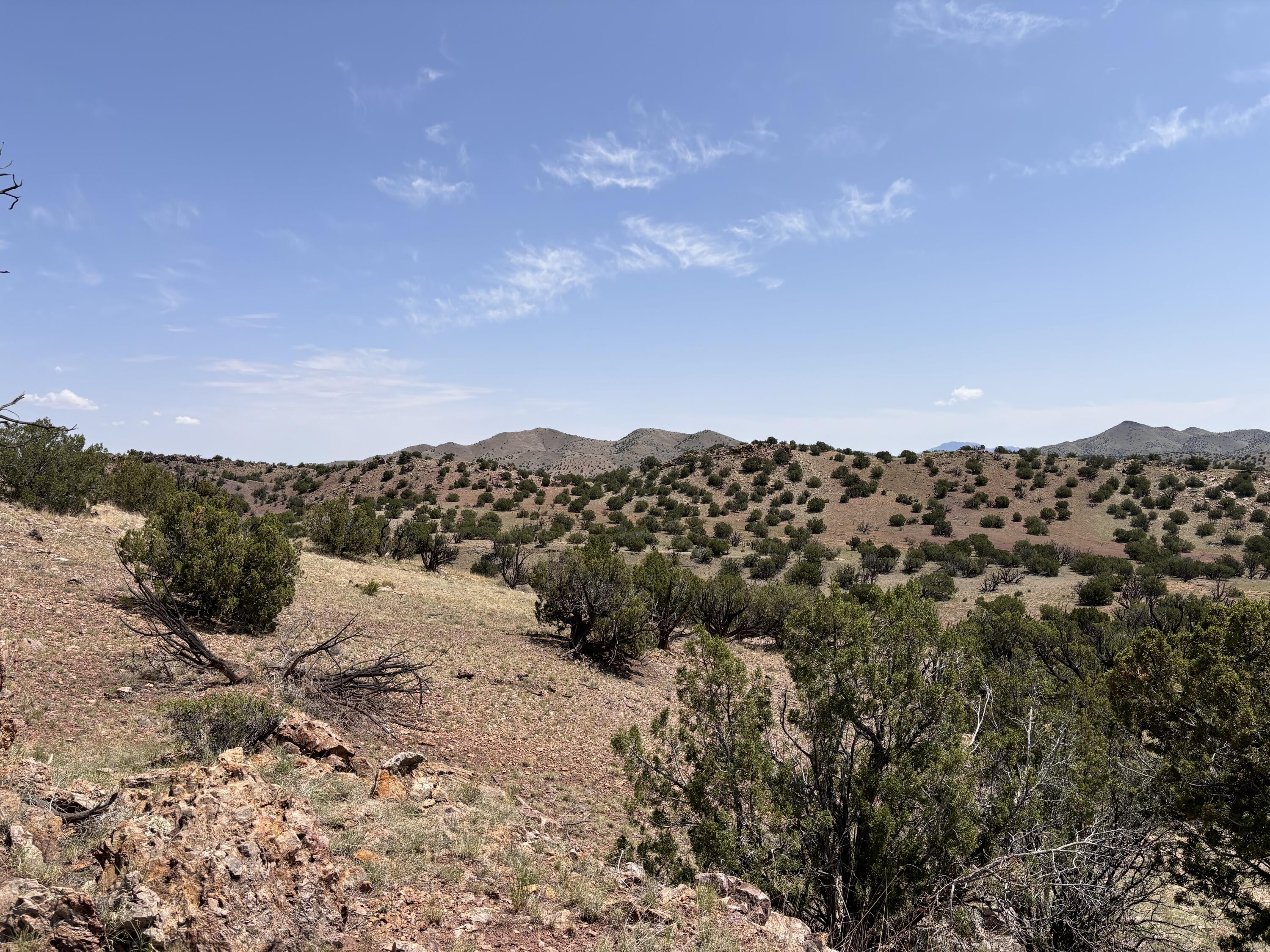 Lot 13 Abbe Springs Ranches
