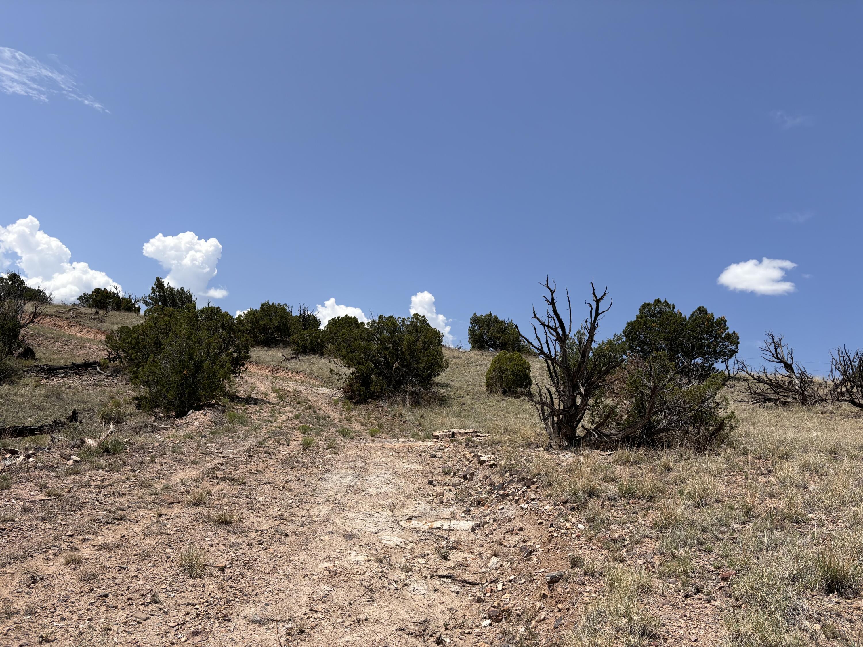 Lot 13 Abbe Springs Ranches