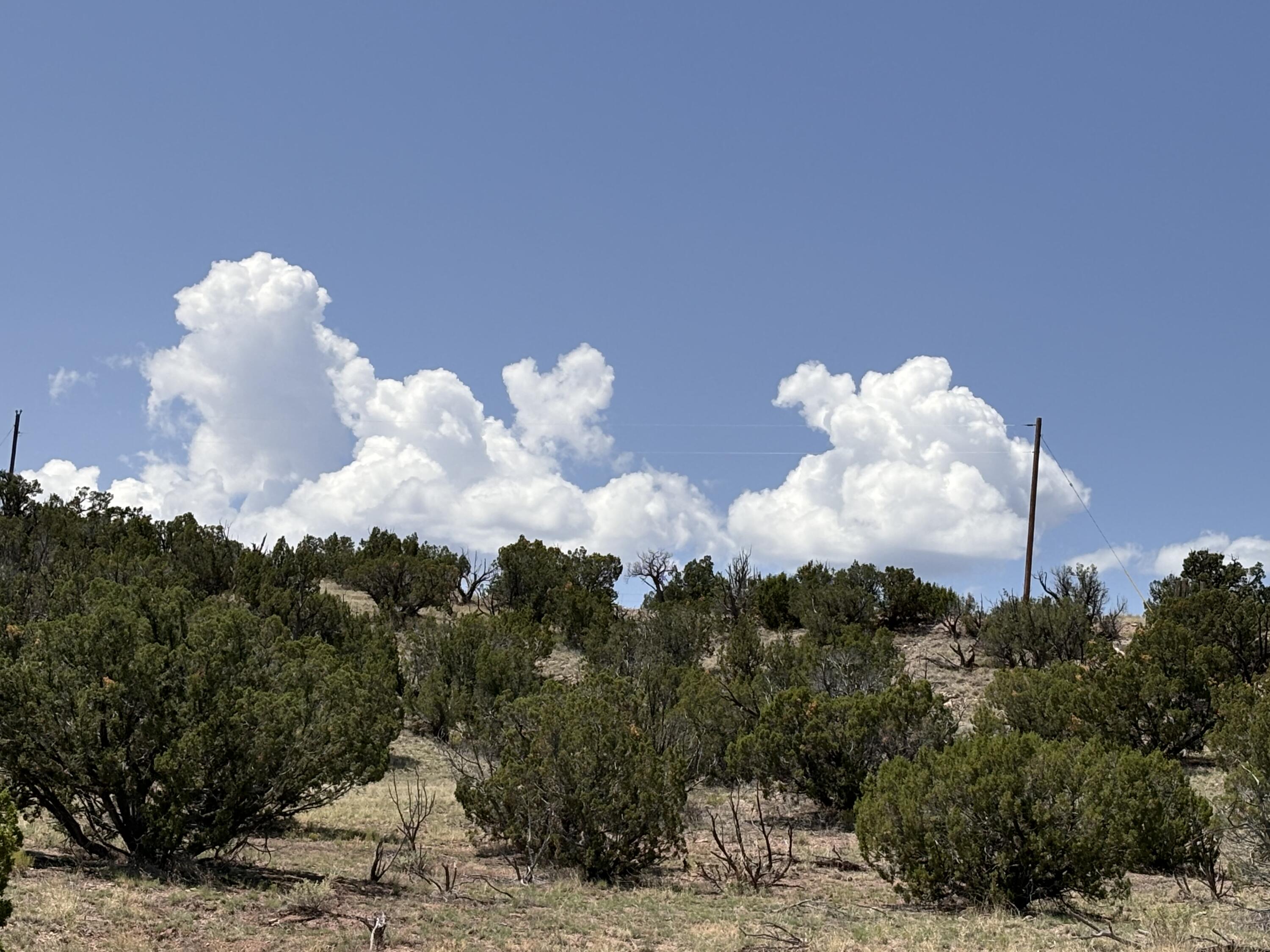 Lot 13 Abbe Springs Ranches