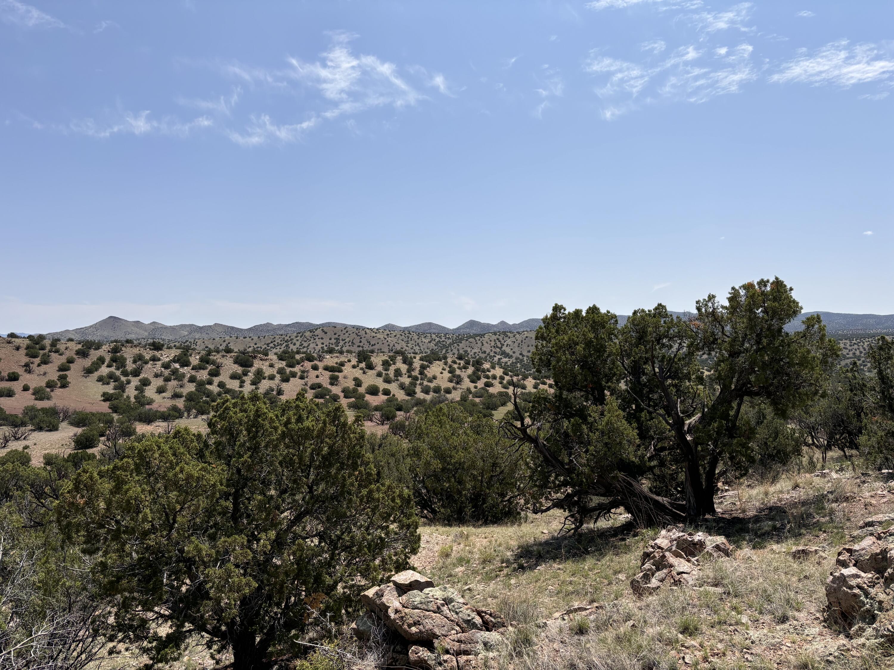 Lot 13 Abbe Springs Ranches