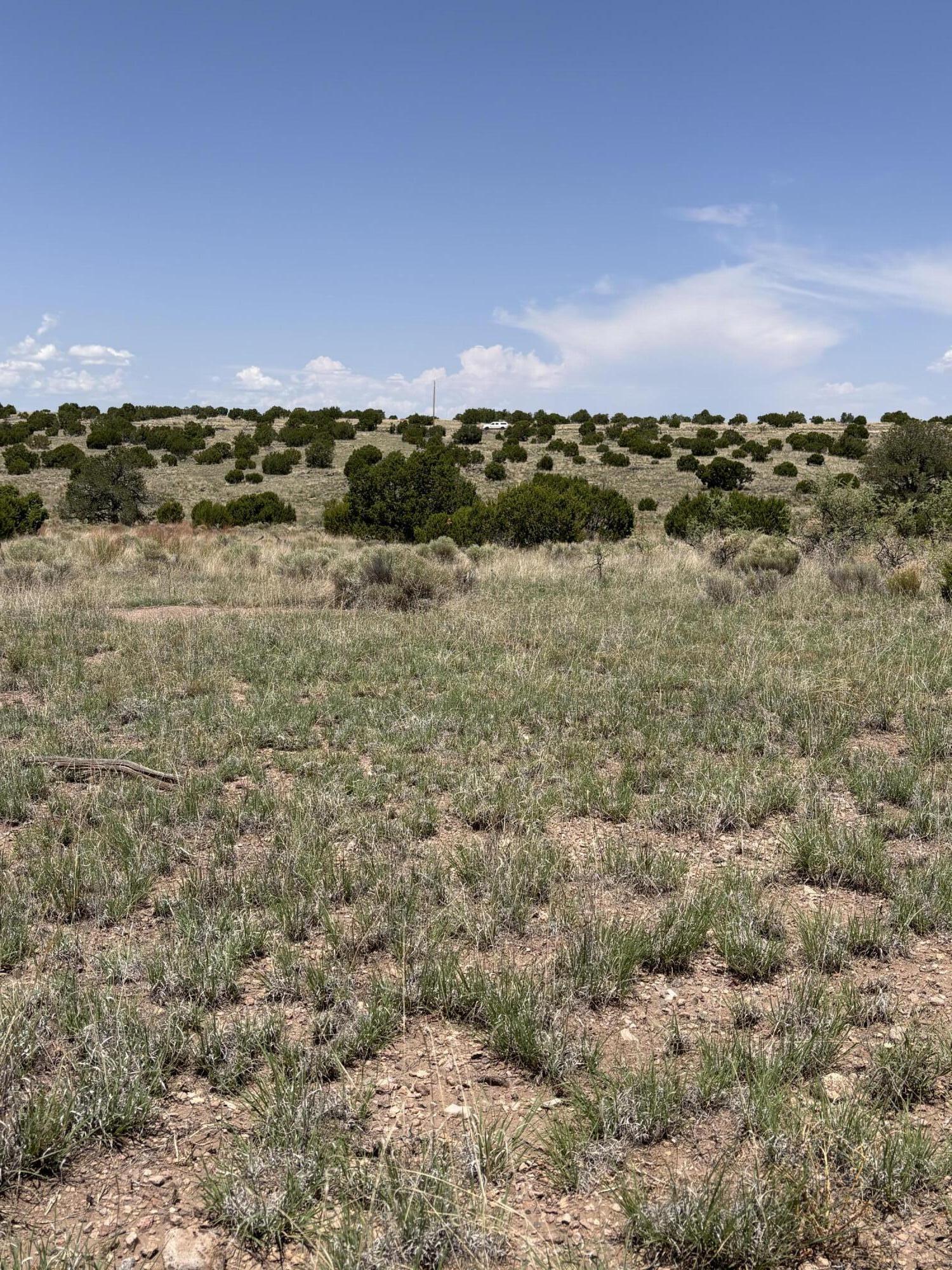Lot 13 Abbe Springs Ranches